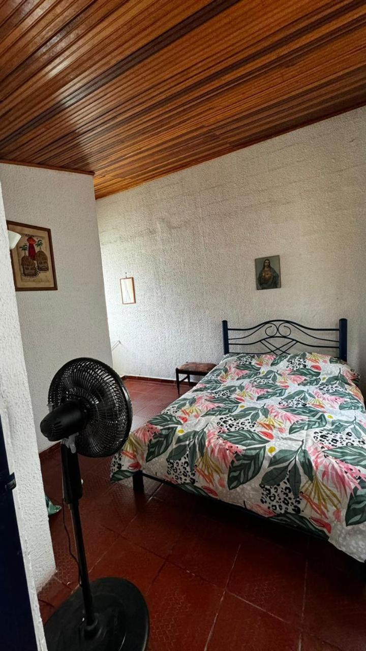 Flandes Alejandría 2