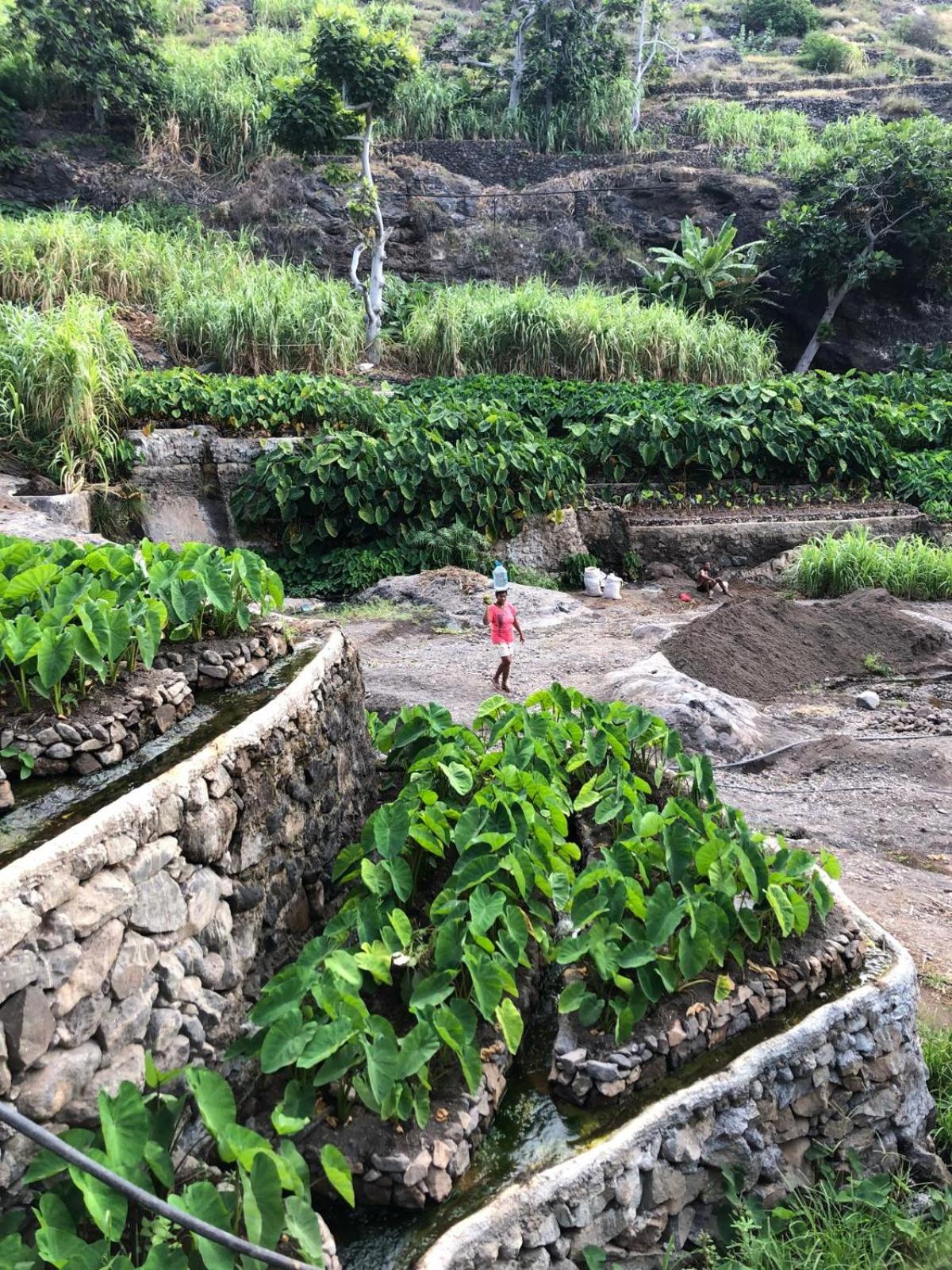 Casa Saúde