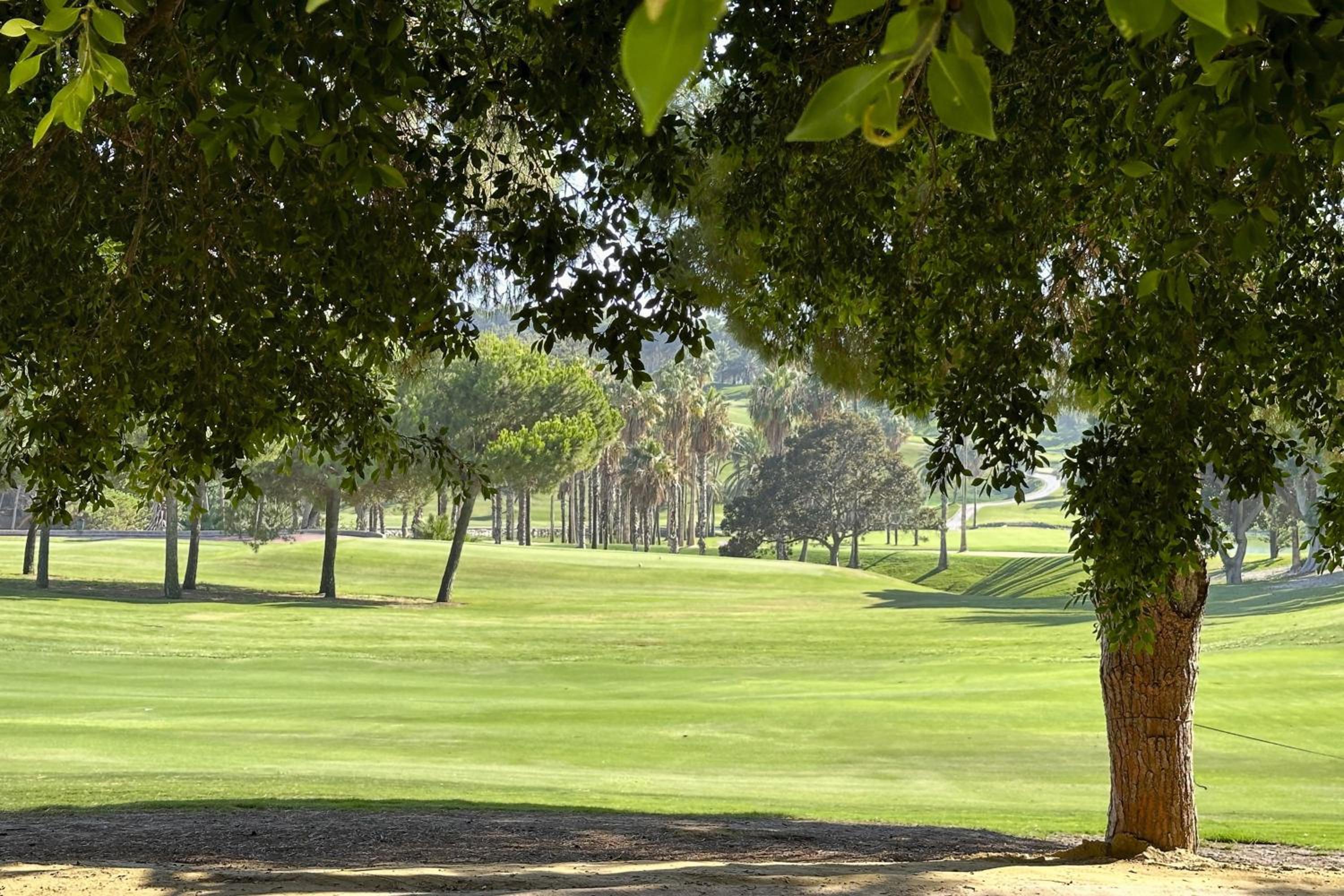 Mshome Golf Torrequebrada