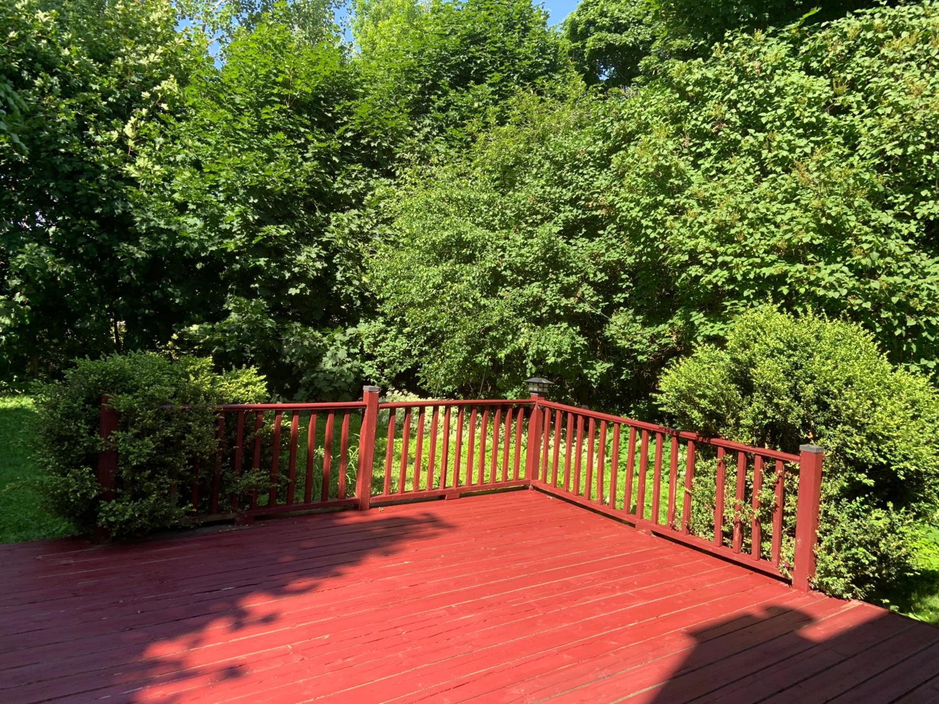 Cozy Lower Level 2BR Apartment