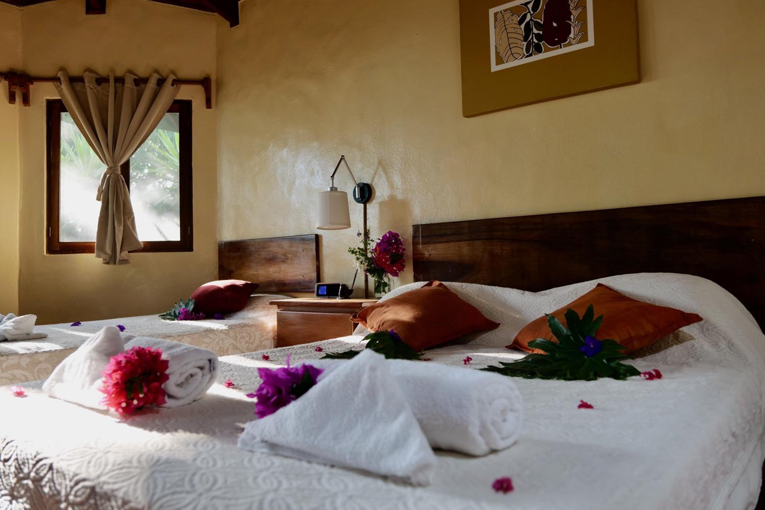 Lodge Mirador - Great Swimming pool - Kitchen - BBQ - Netflix