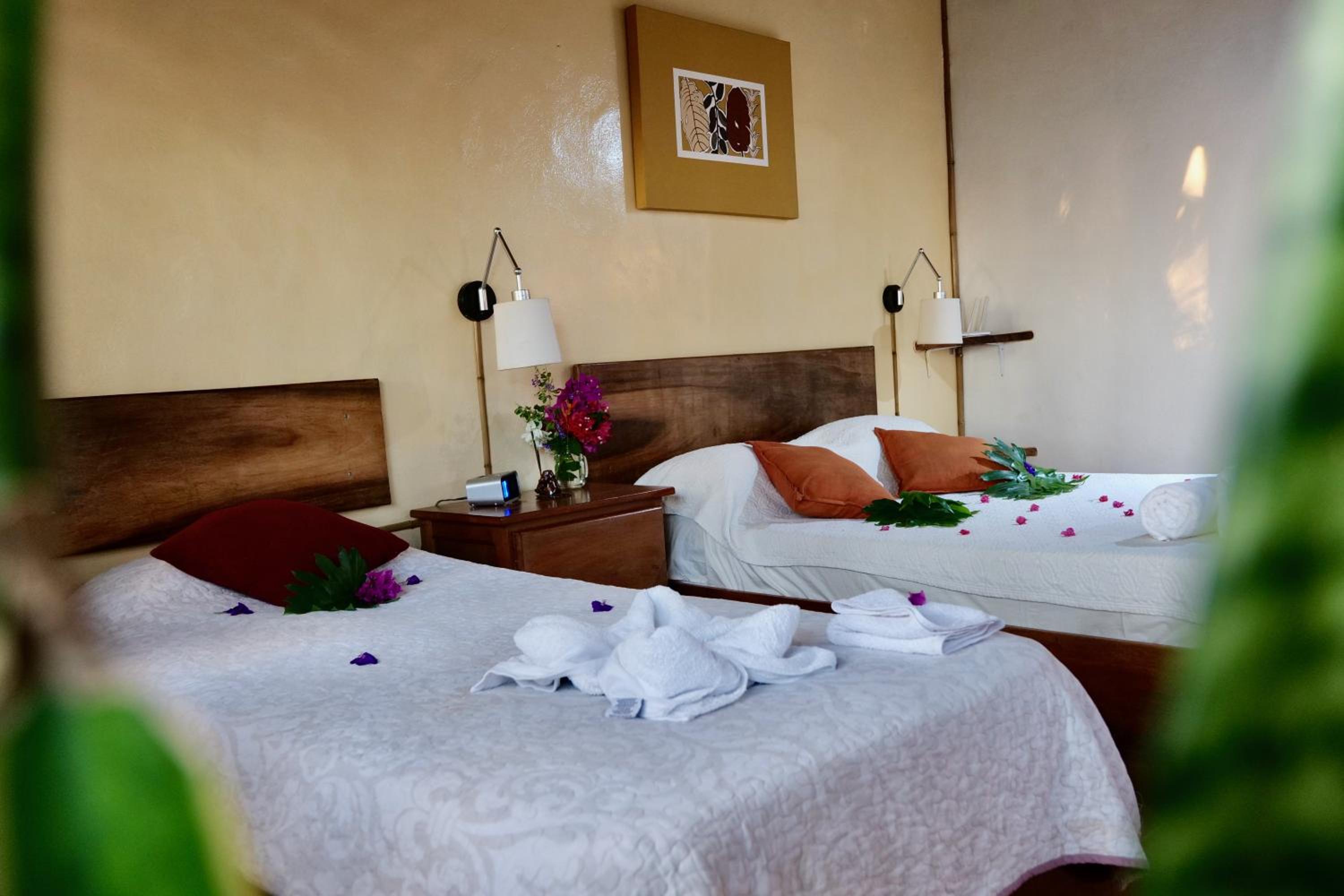 Lodge Mirador - Great Swimming pool - Kitchen - BBQ - Netflix