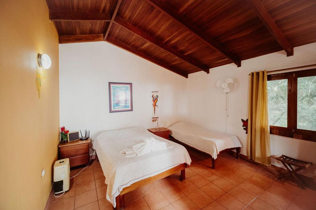 Lodge Mirador - Great Swimming pool - Kitchen - BBQ - Netflix