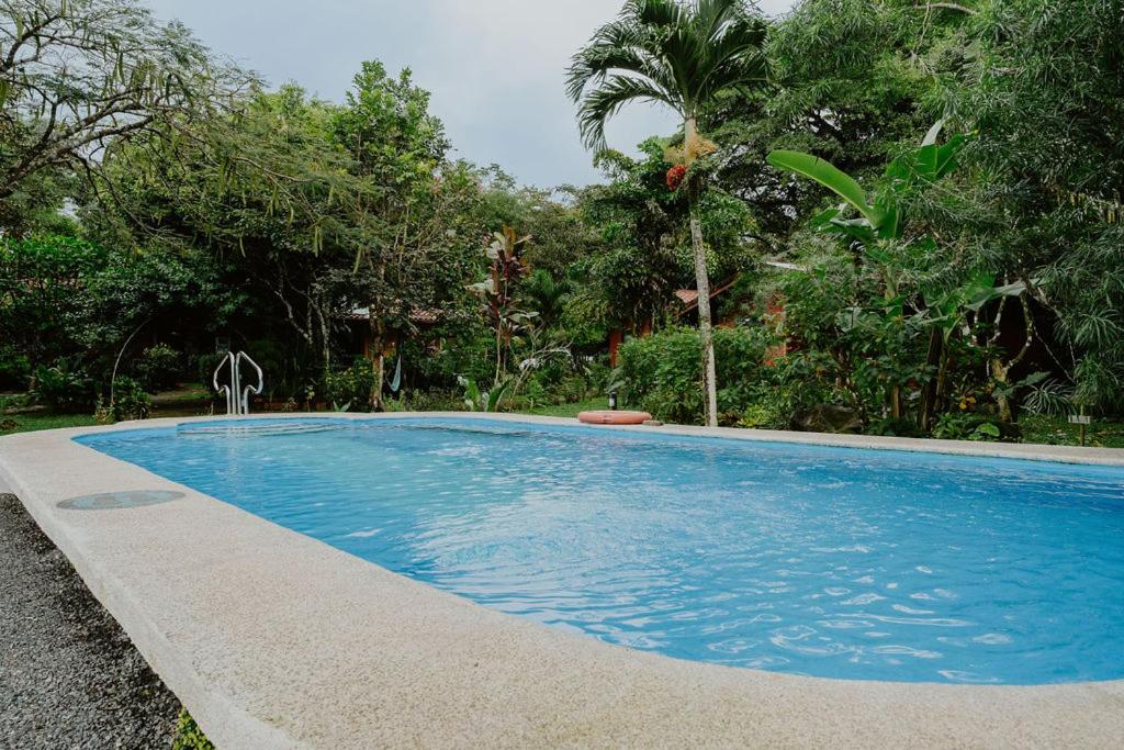 Lodge Mirador - Great Swimming pool - Kitchen - BBQ - Netflix