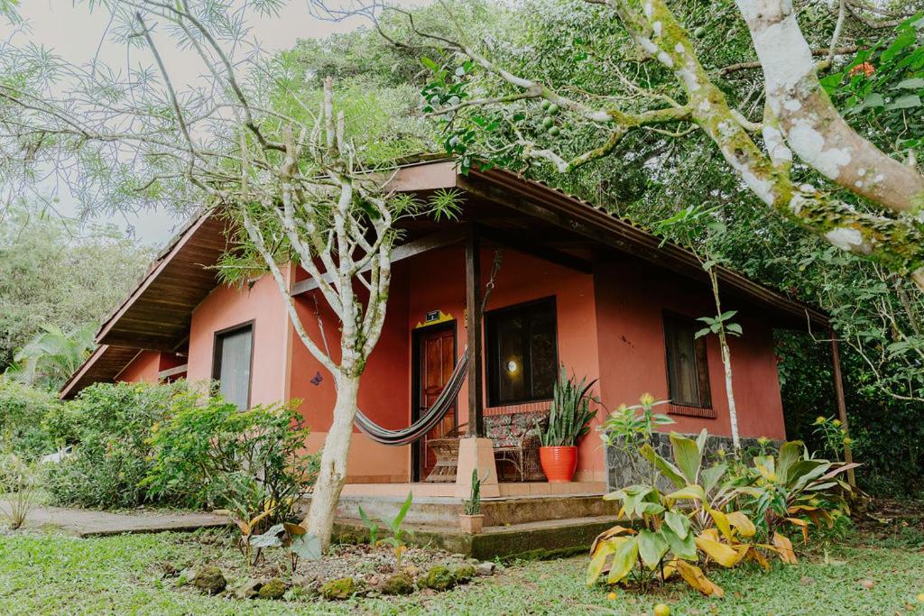 Lodge Mirador - Great Swimming pool - Kitchen - BBQ - Netflix