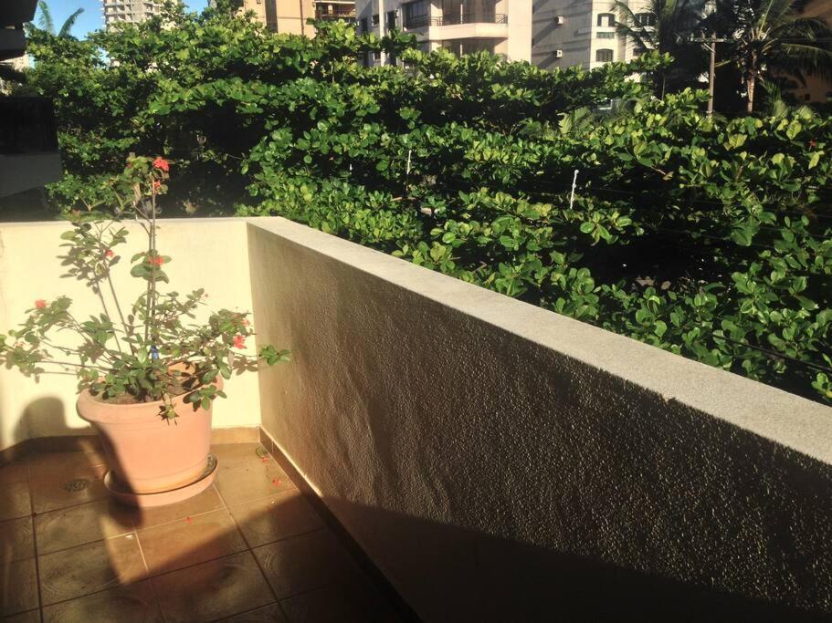 Apto Espaçoso na Praia da Enseada