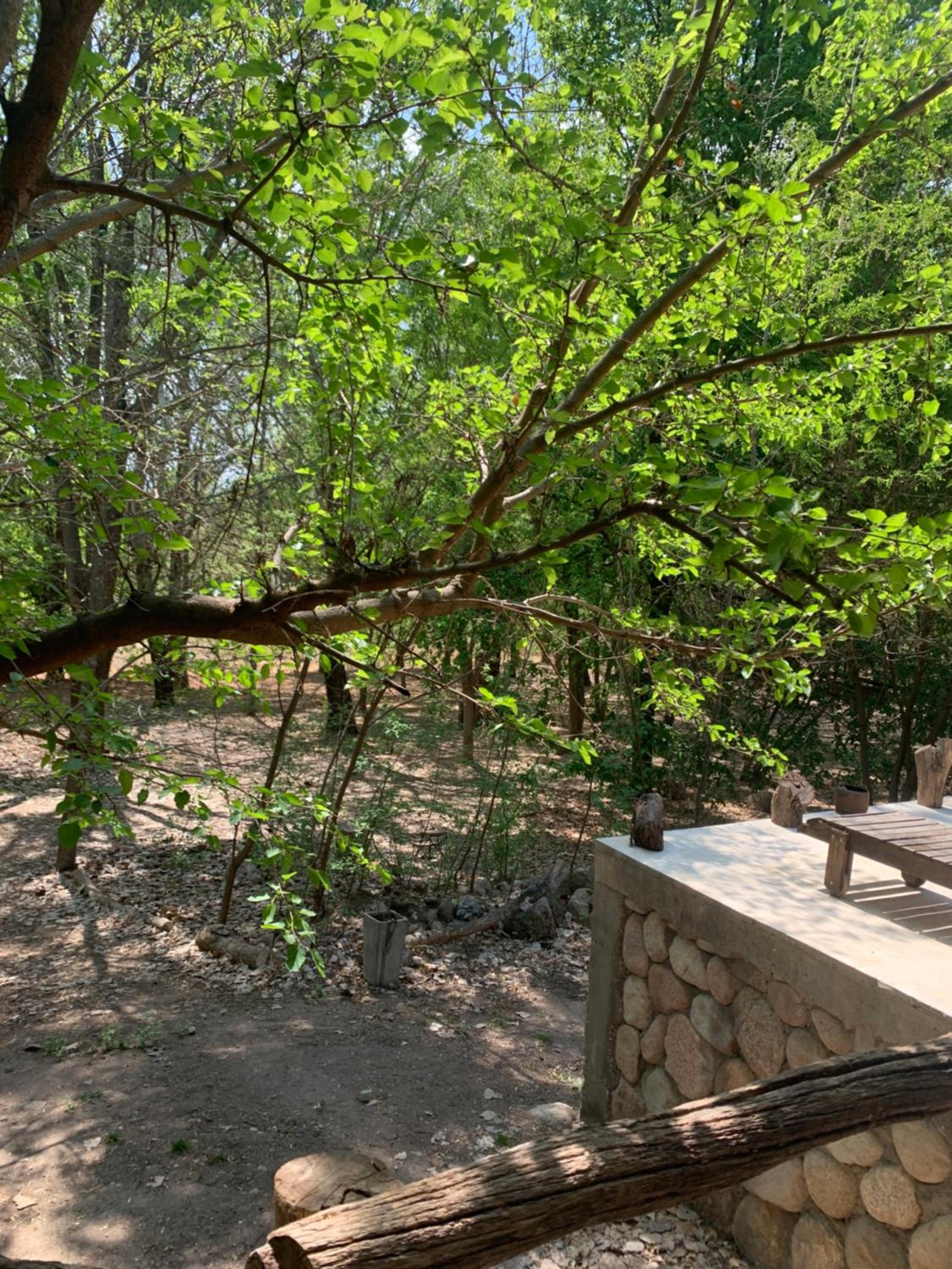 Cabaña del Bosque