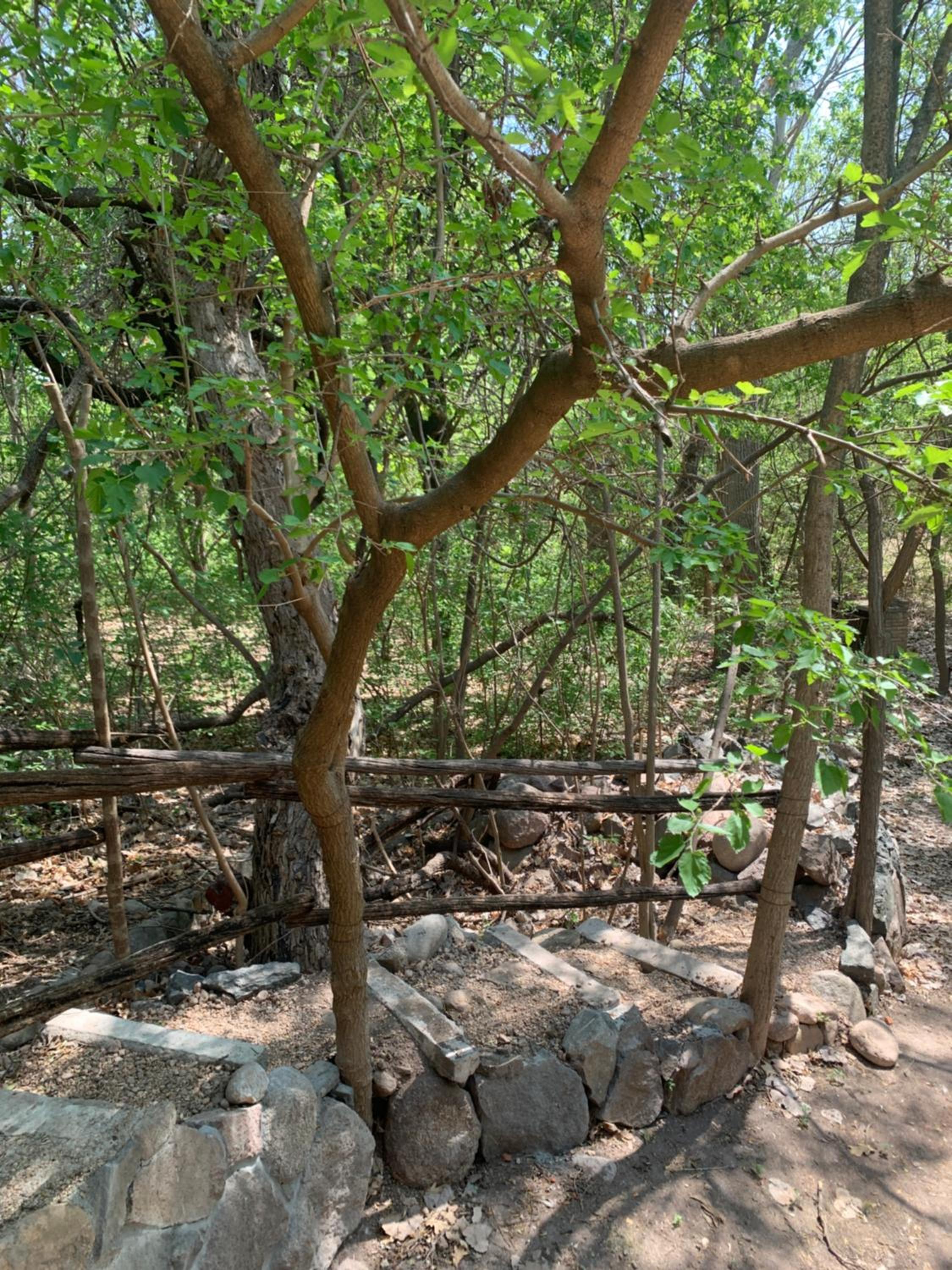Cabaña del Bosque