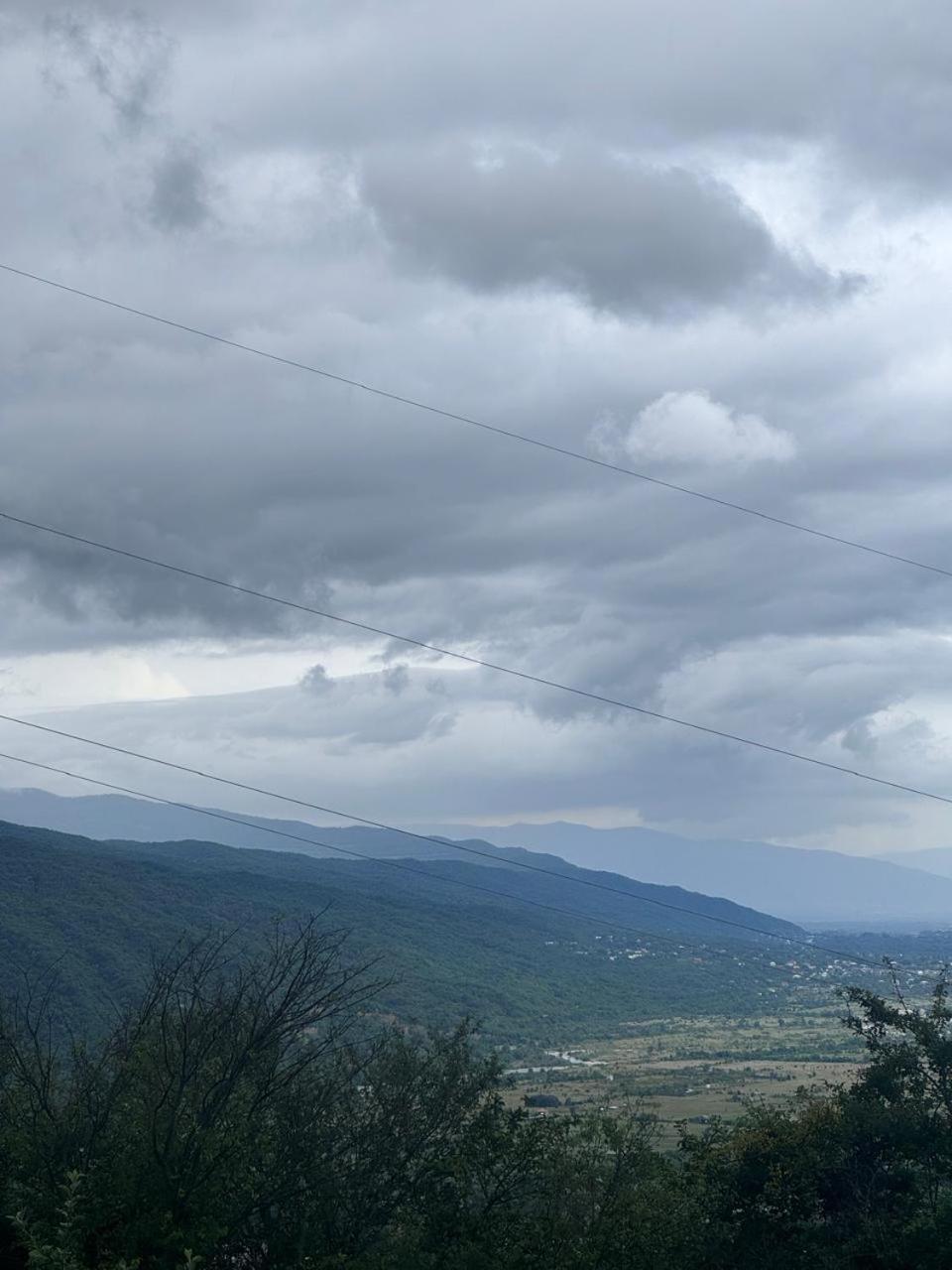 Sulo