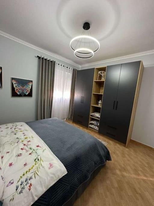 Modern and elegant apartment