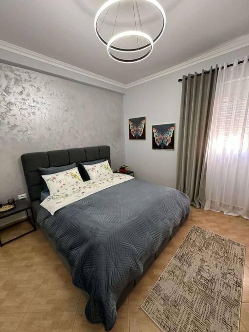 Modern and elegant apartment