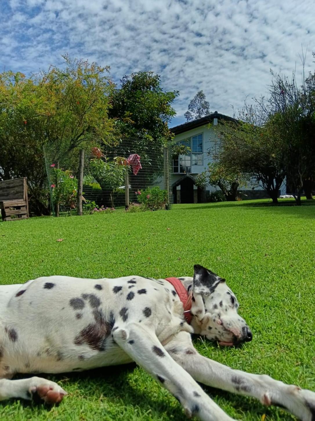 Casa Altea Farm