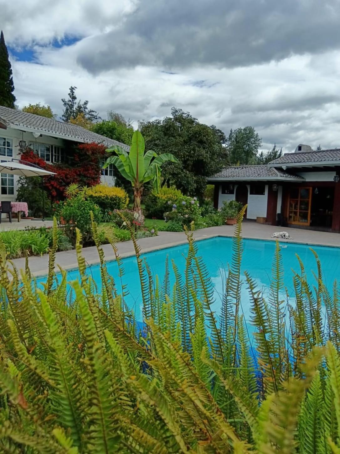 Casa Altea Farm