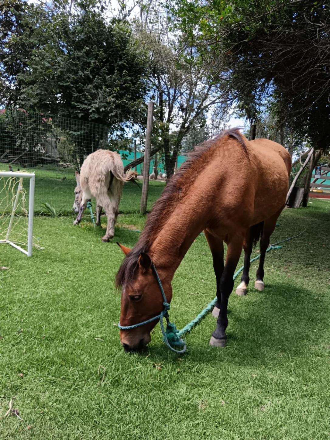 Casa Altea Farm