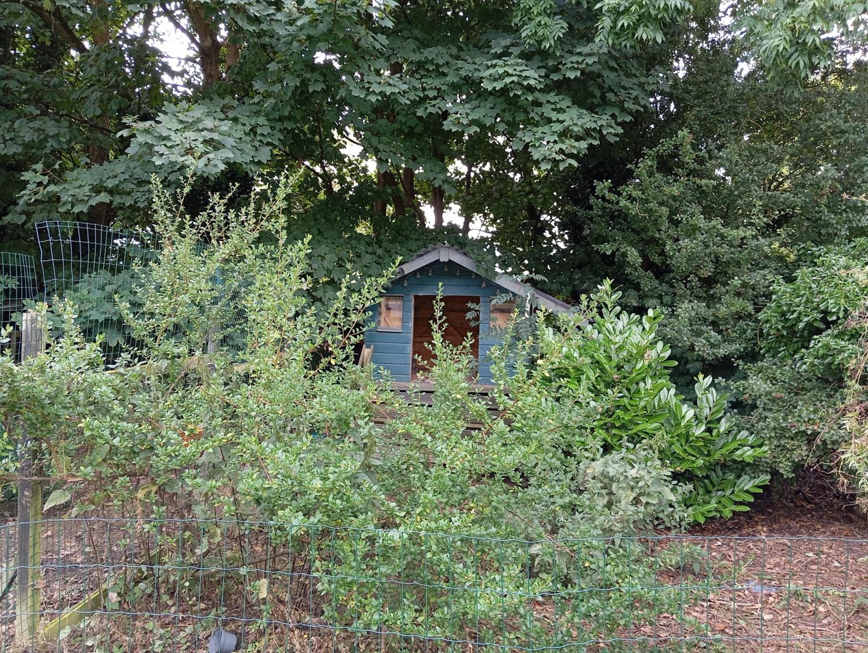 Adventure Cabin Retreat 'The CabAnne' No Shower