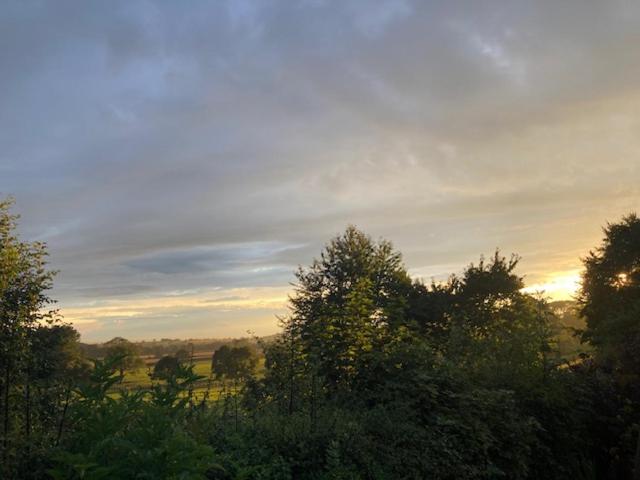 The Larch Room view 5
