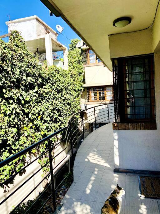Oasis en la mejor zona de Mendoza