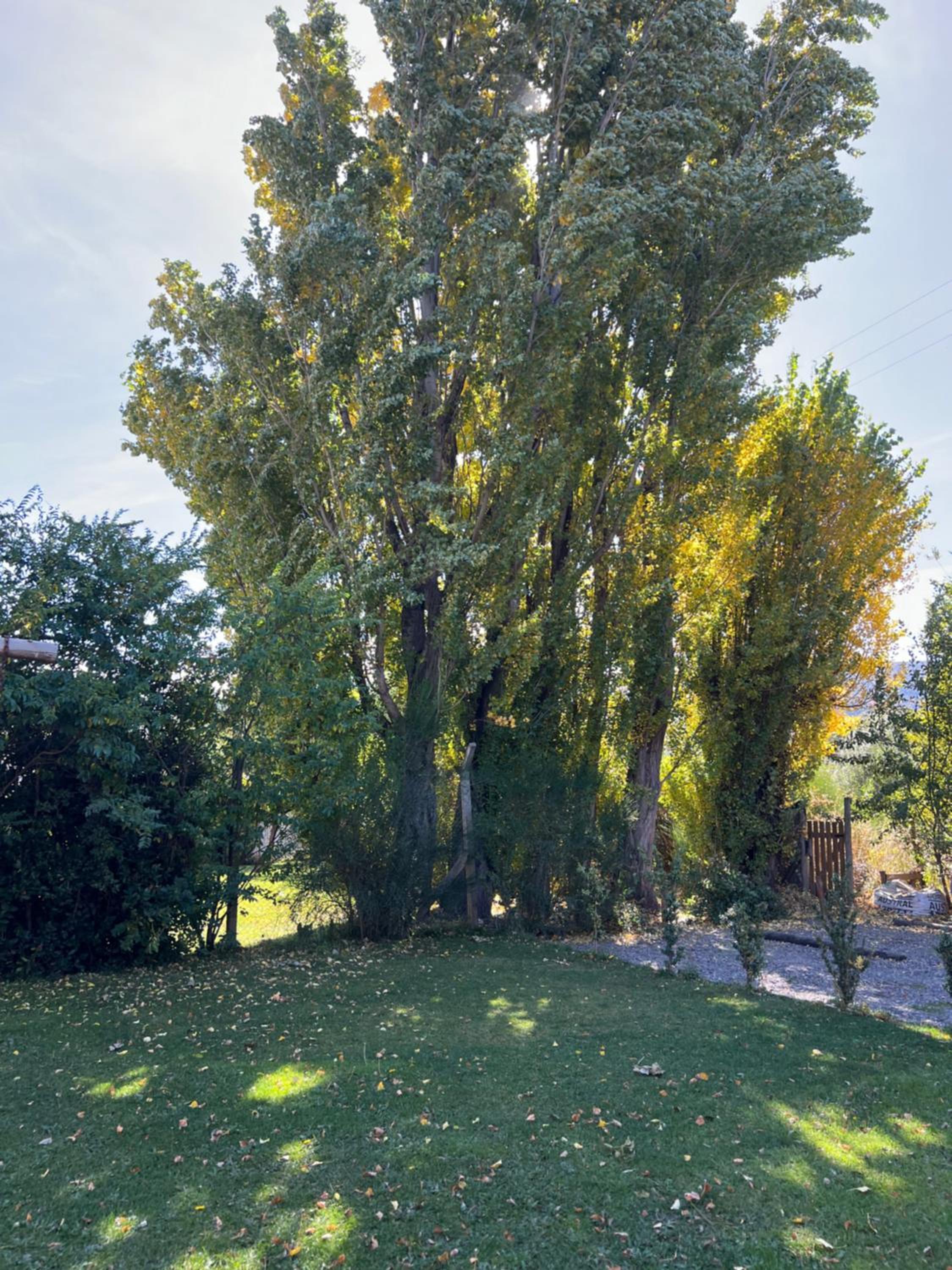 Alamos del Arroyo Casa