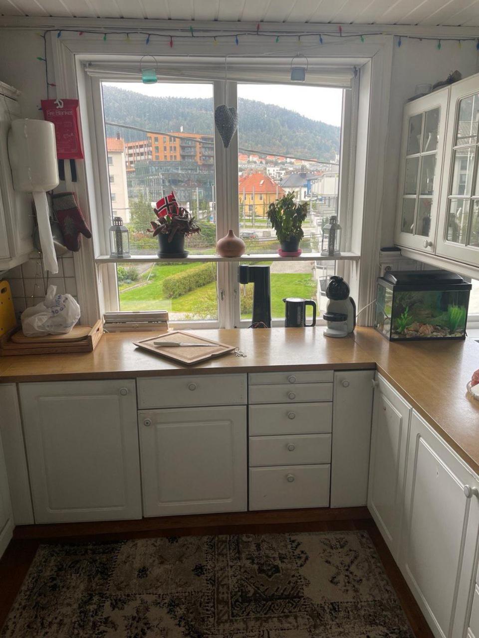 Bergen peaceful loft