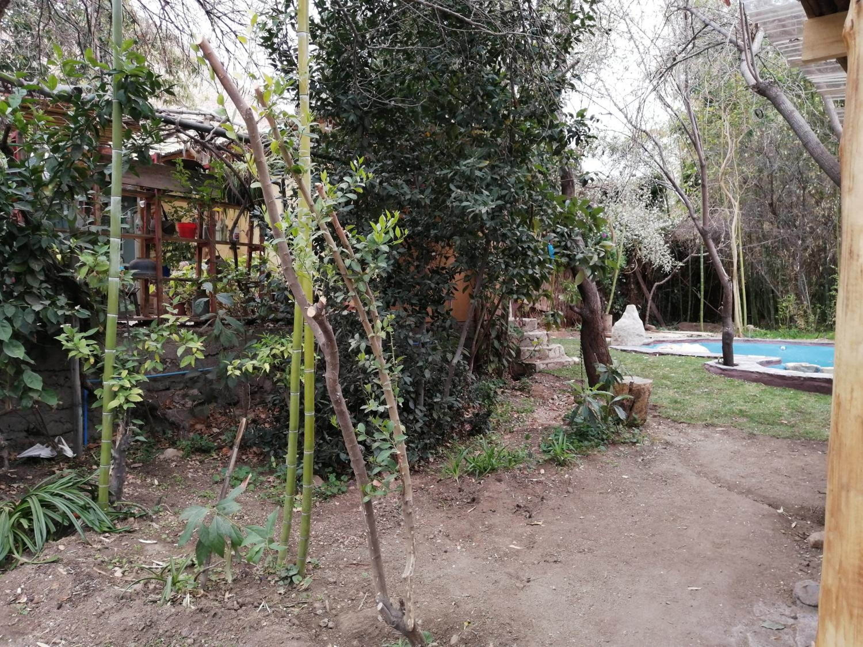 Elquihostel