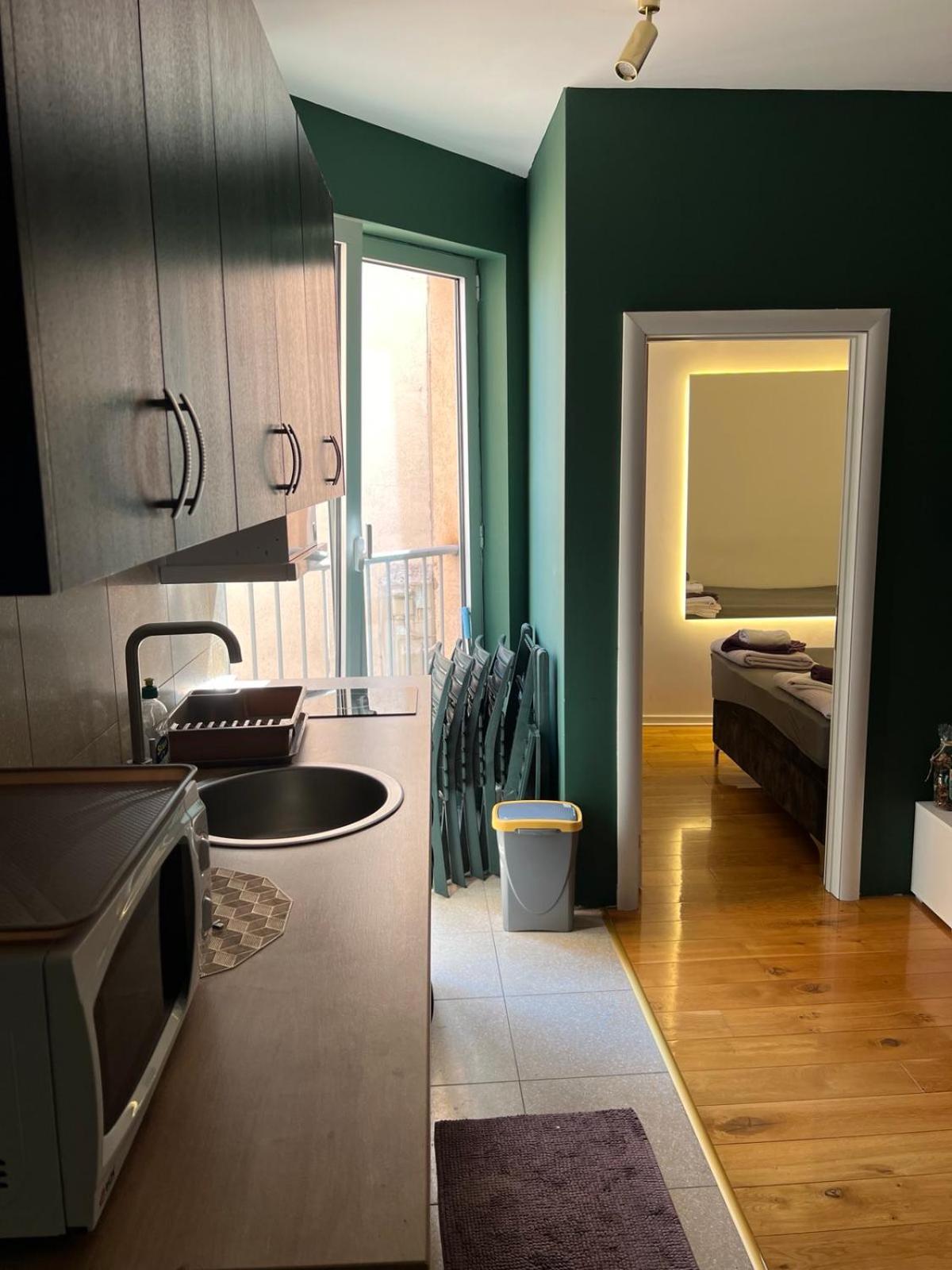 Apartment A2, Center, Belgrade view 4
