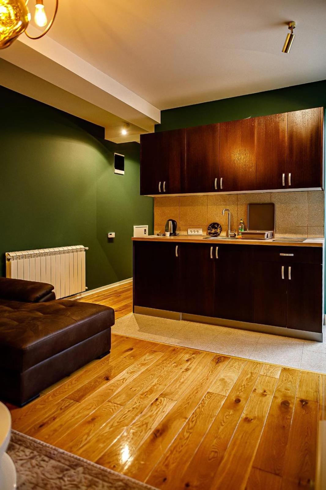 Apartment A2, Center, Belgrade view 5