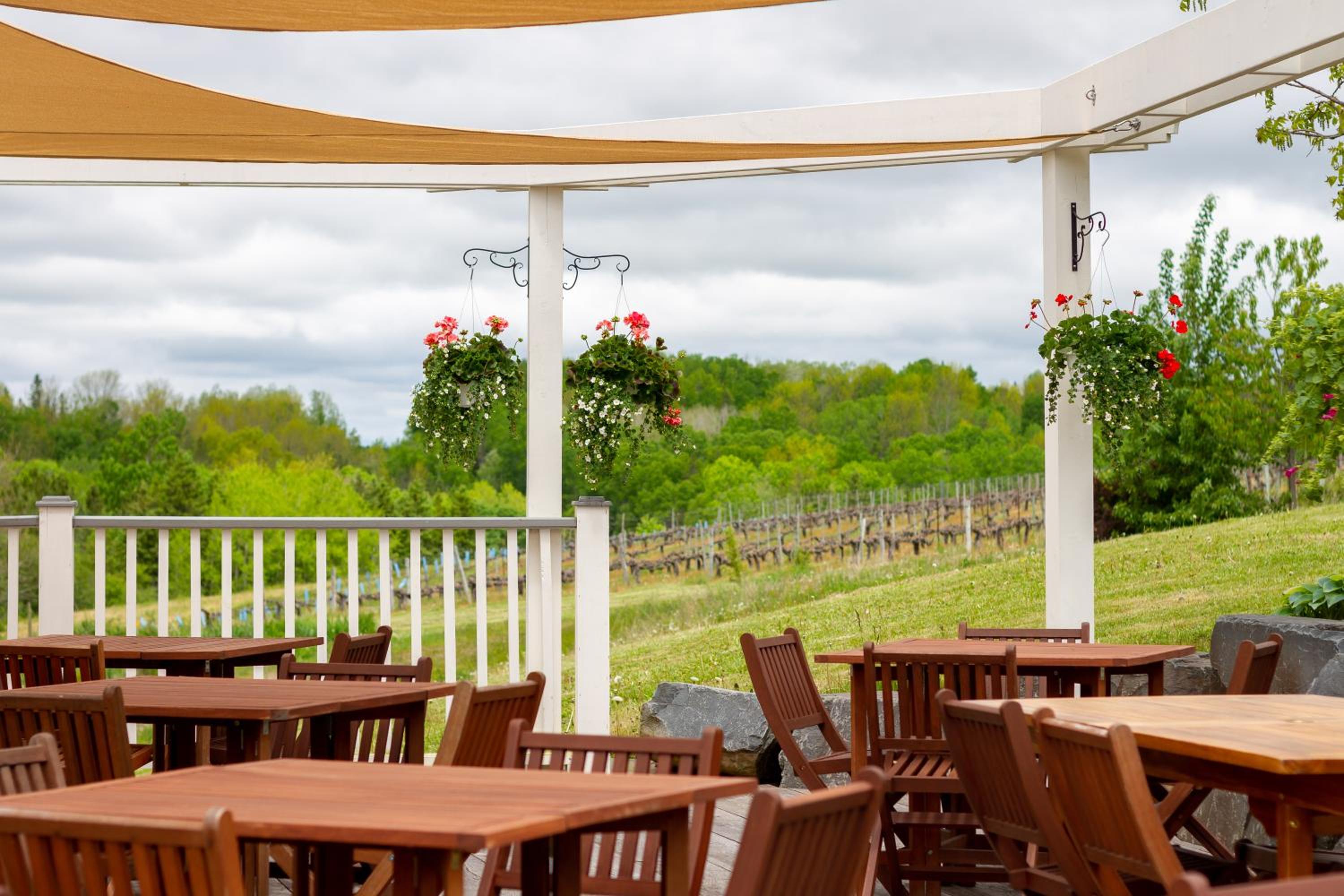 The Farmhouse at Avondale Sky Winery