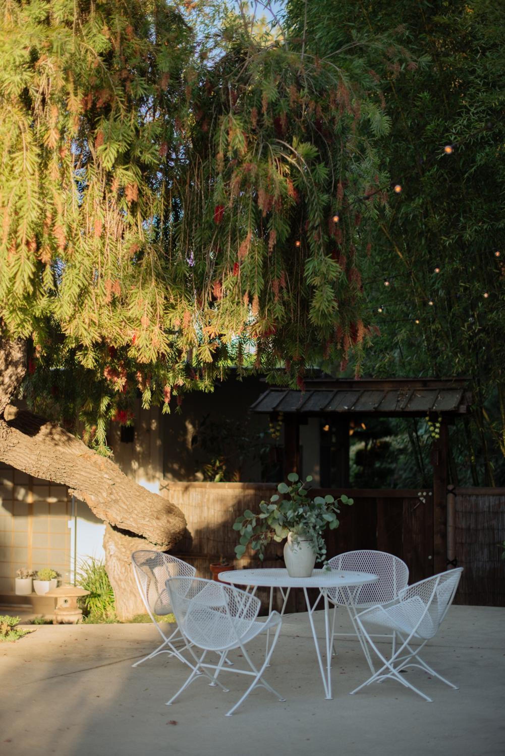 Mid-Century Zen Mountain Getaway