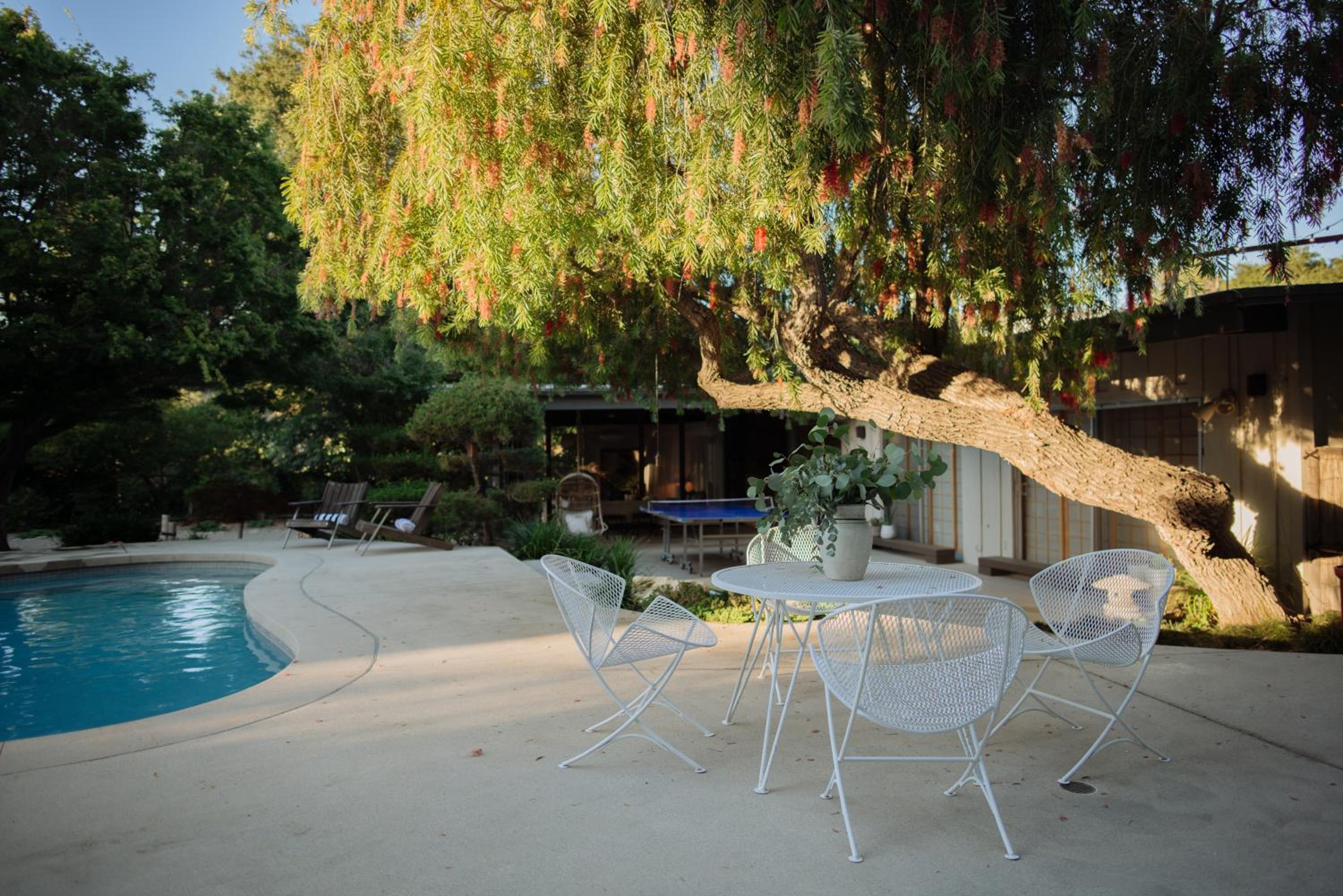 Mid-Century Zen Mountain Getaway