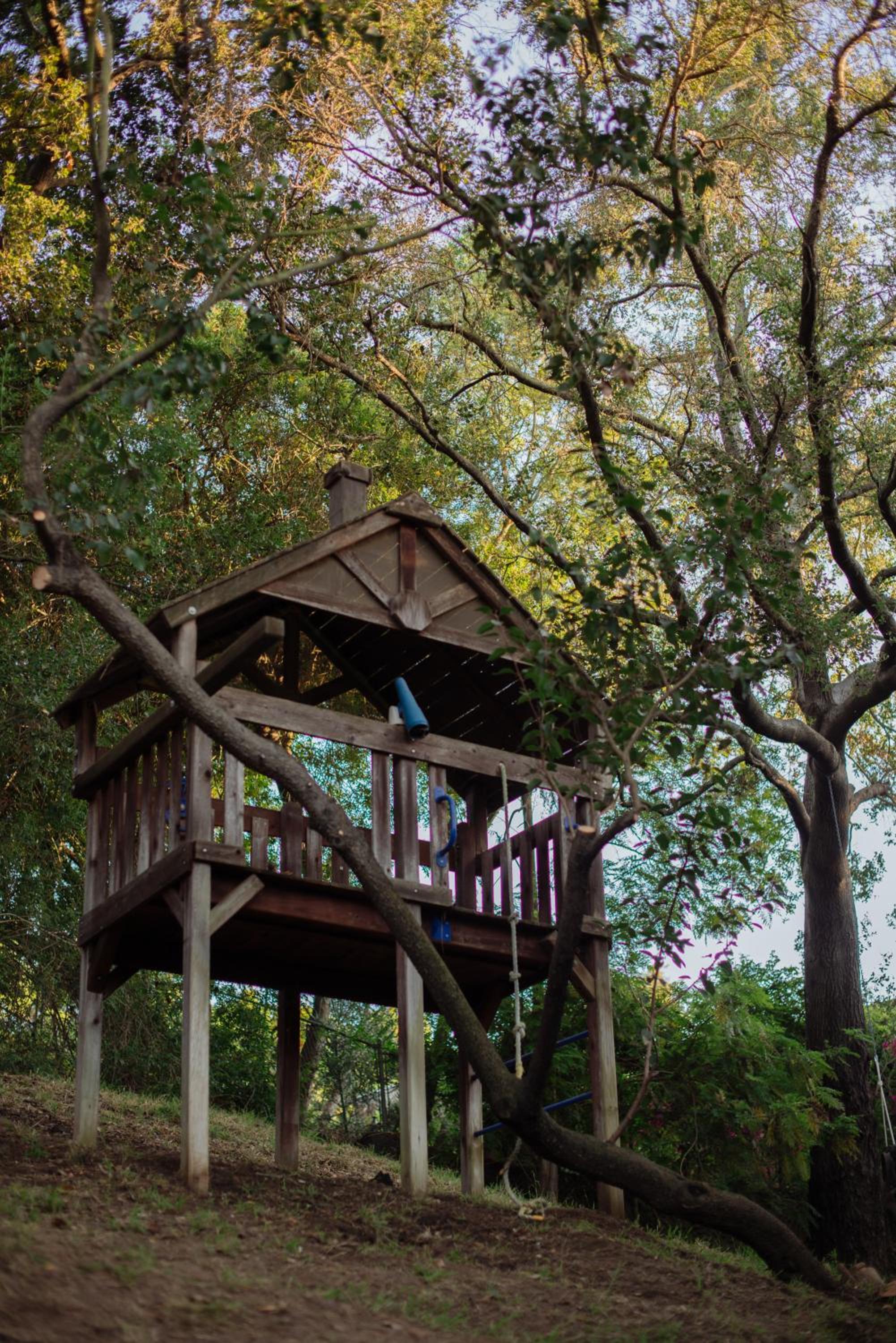 Mid-Century Zen Mountain Getaway