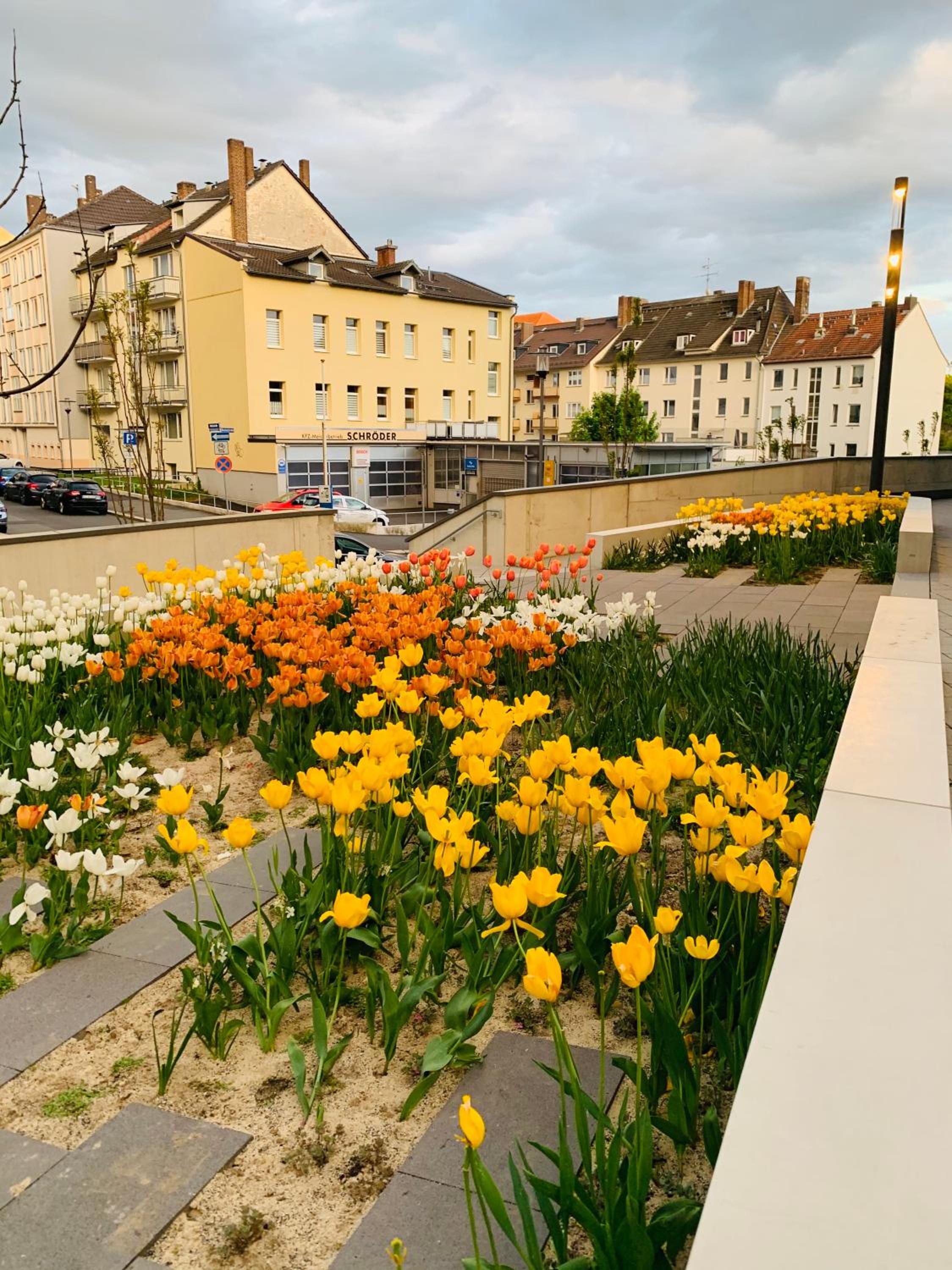Stadtwohnung mit Garten