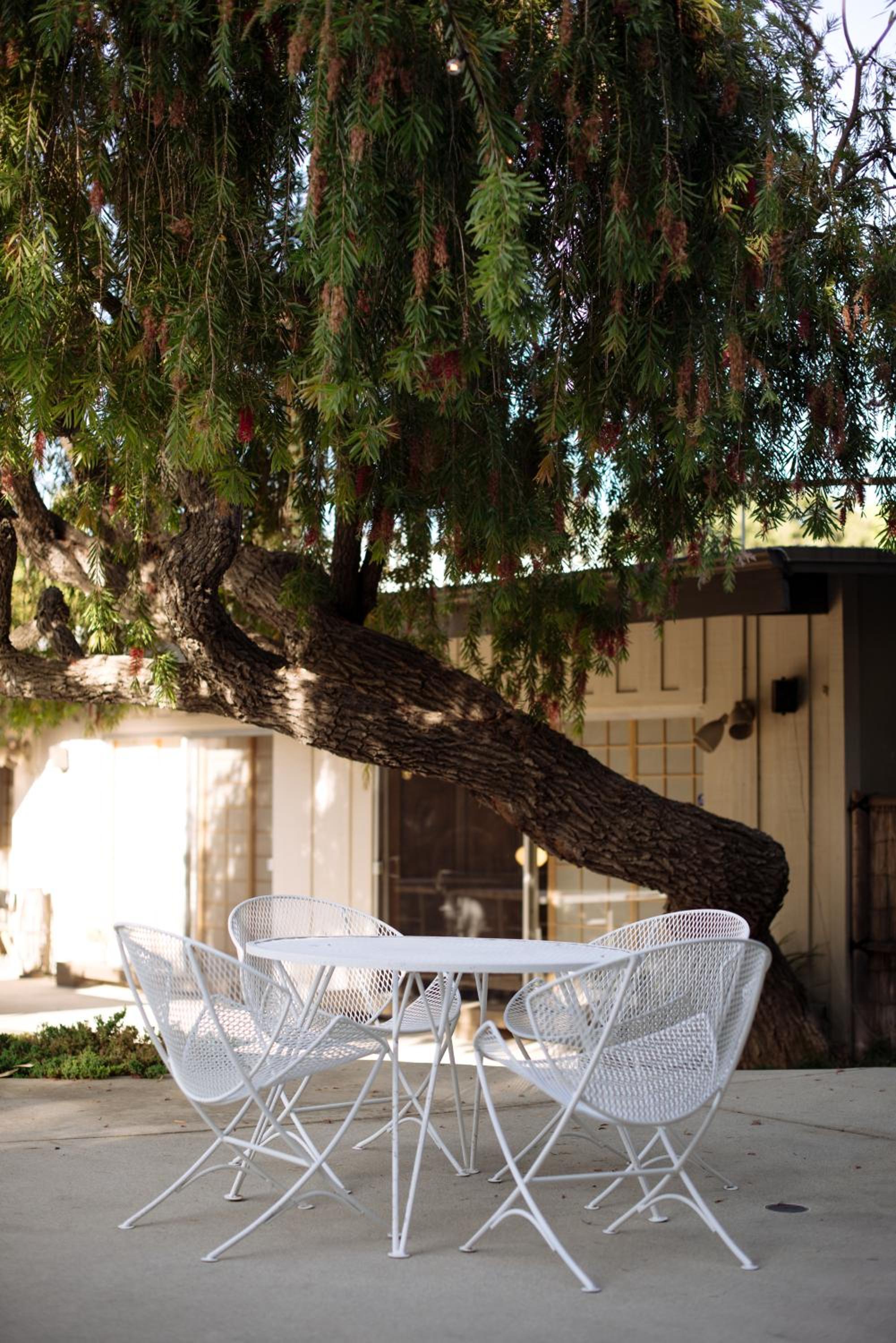 Mid-Century Zen Mountain Getaway