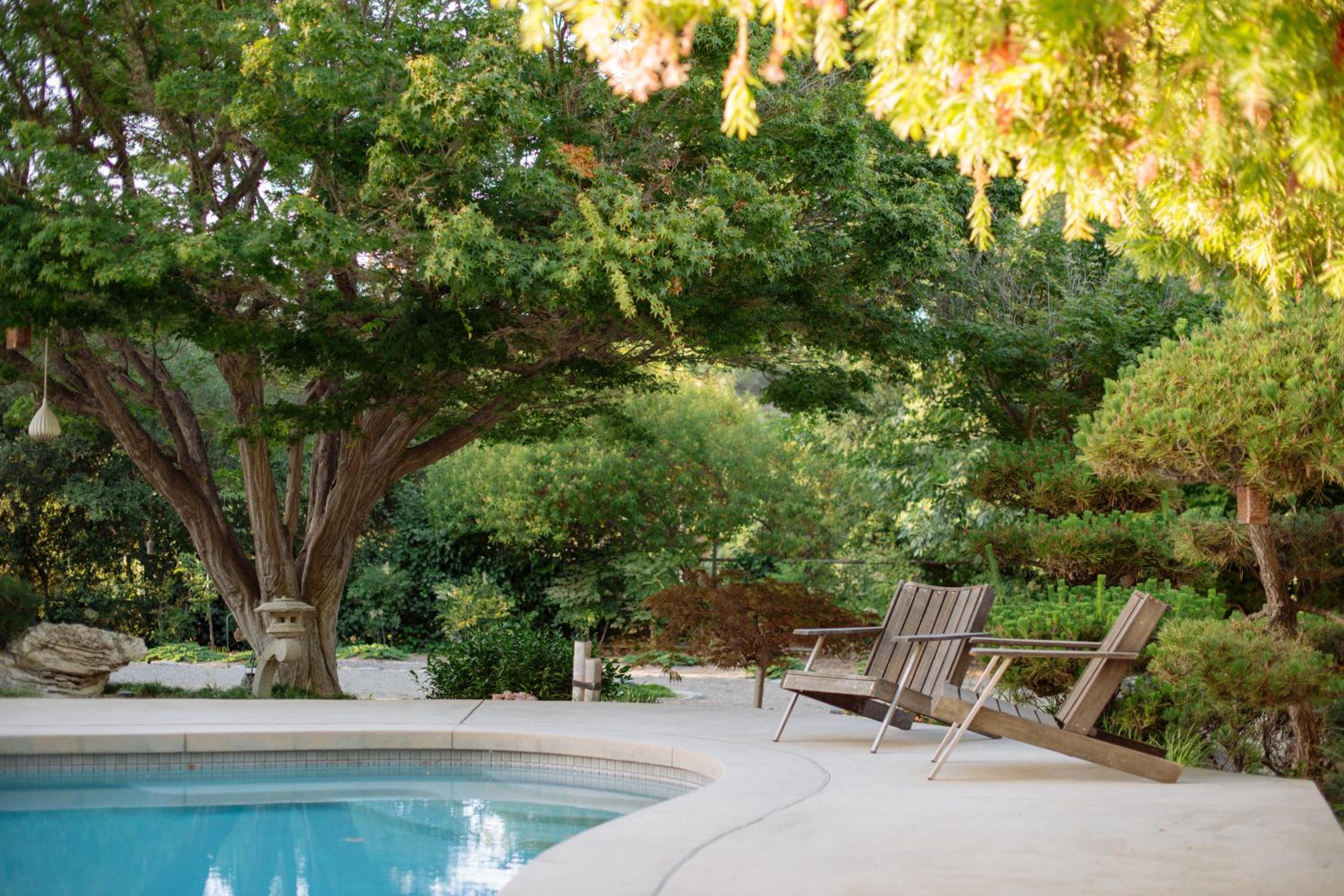 Mid-Century Zen Mountain Getaway