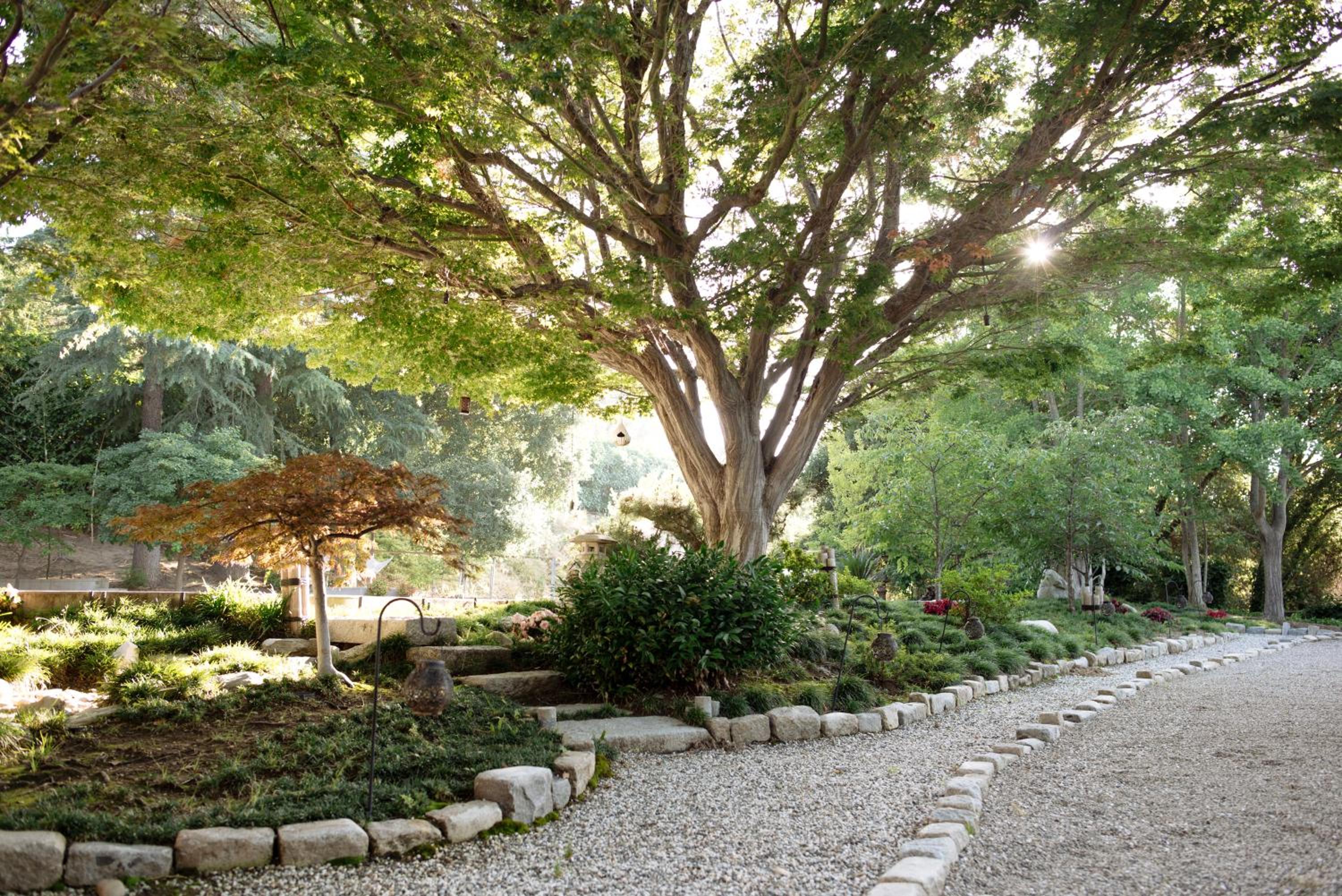 Mid-Century Zen Mountain Getaway