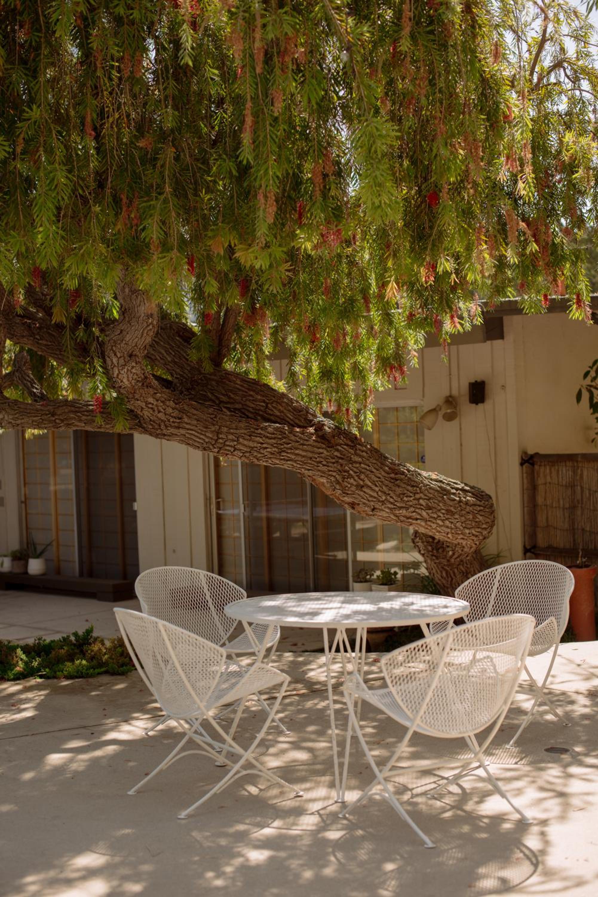 Mid-Century Zen Mountain Getaway
