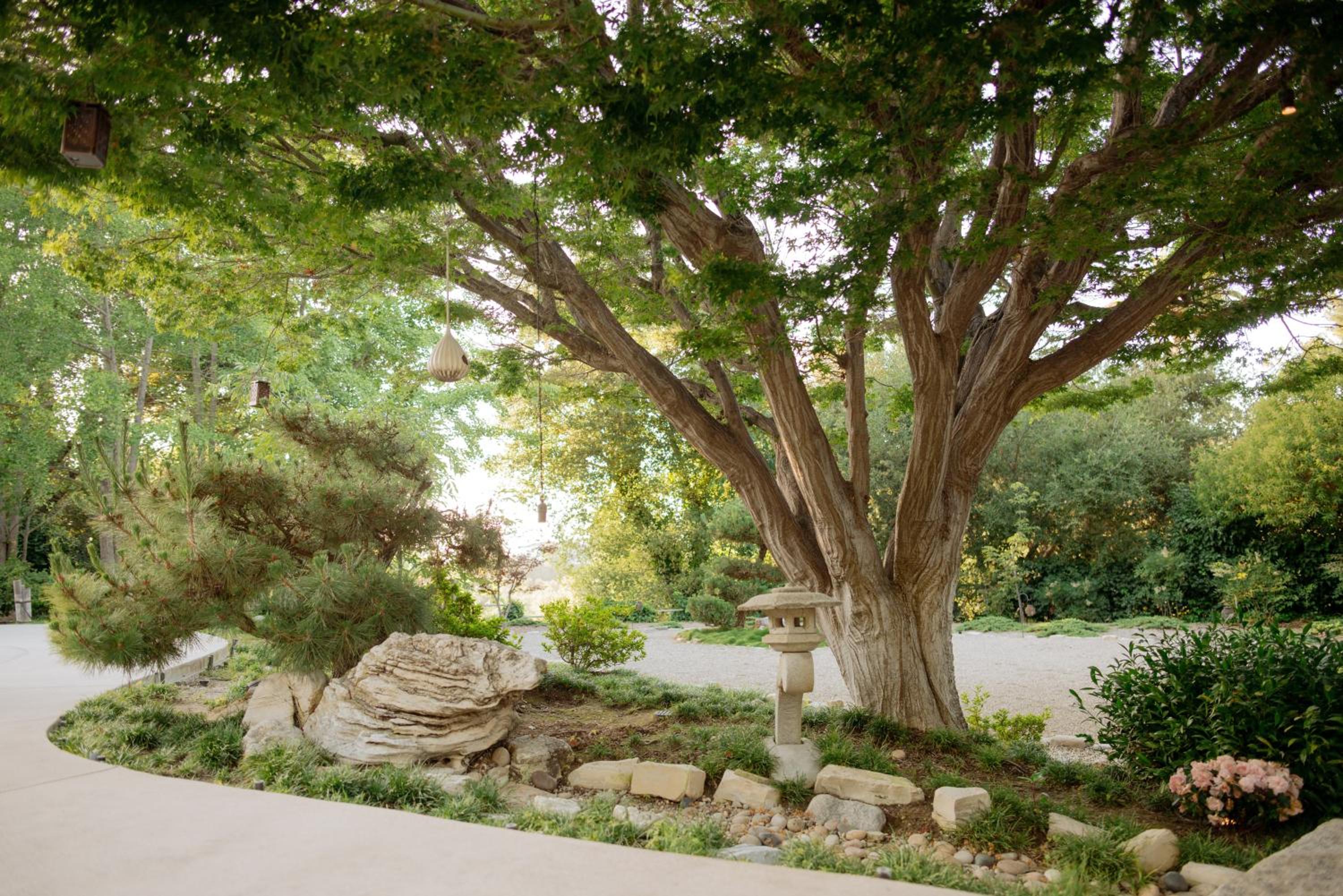 Mid-Century Zen Mountain Getaway