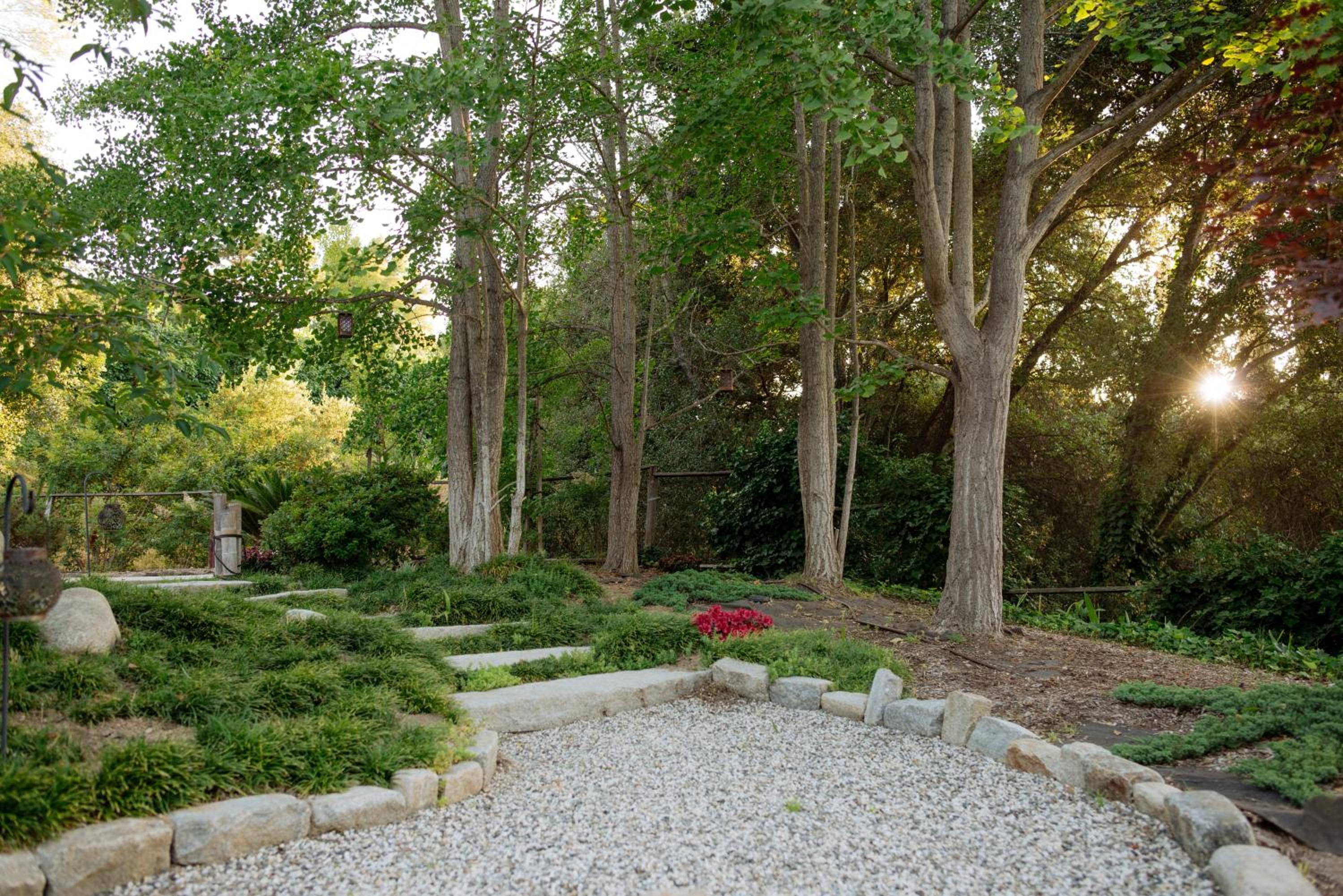 Mid-Century Zen Mountain Getaway