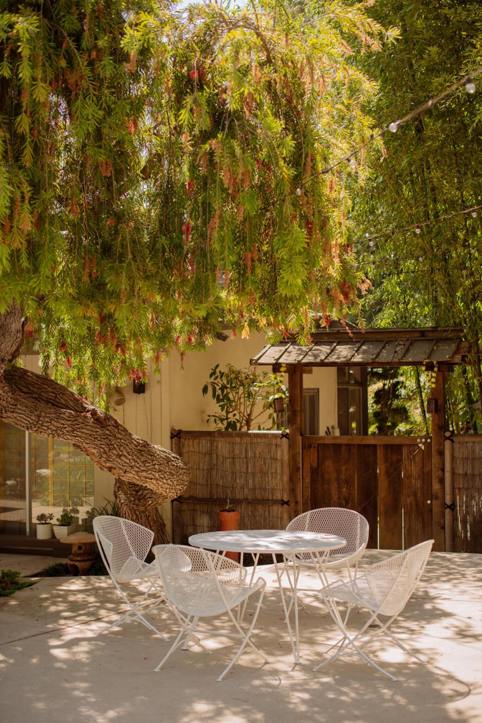 Mid-Century Zen Mountain Getaway
