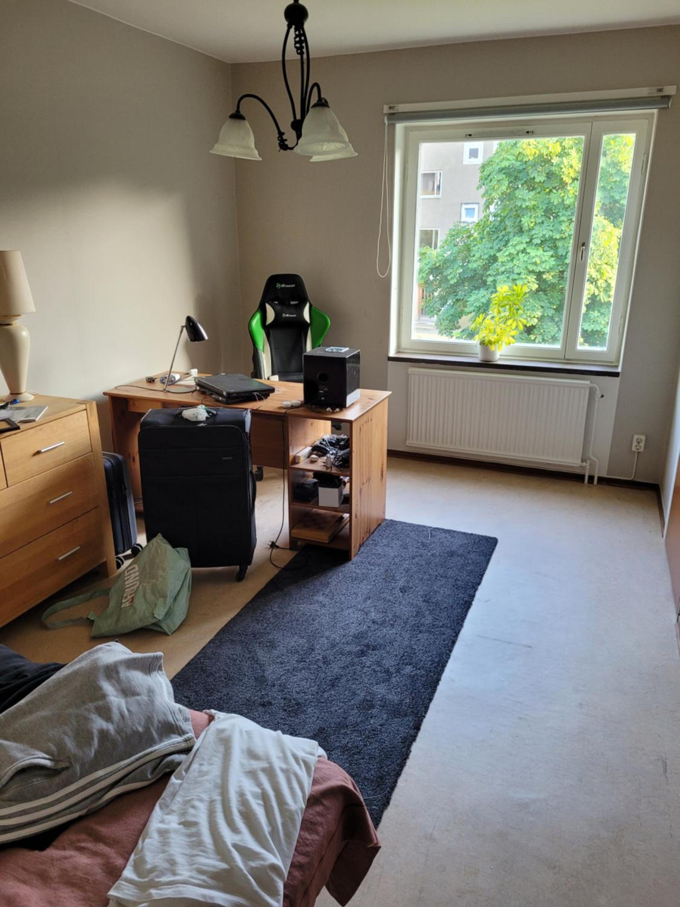 Apartment studio