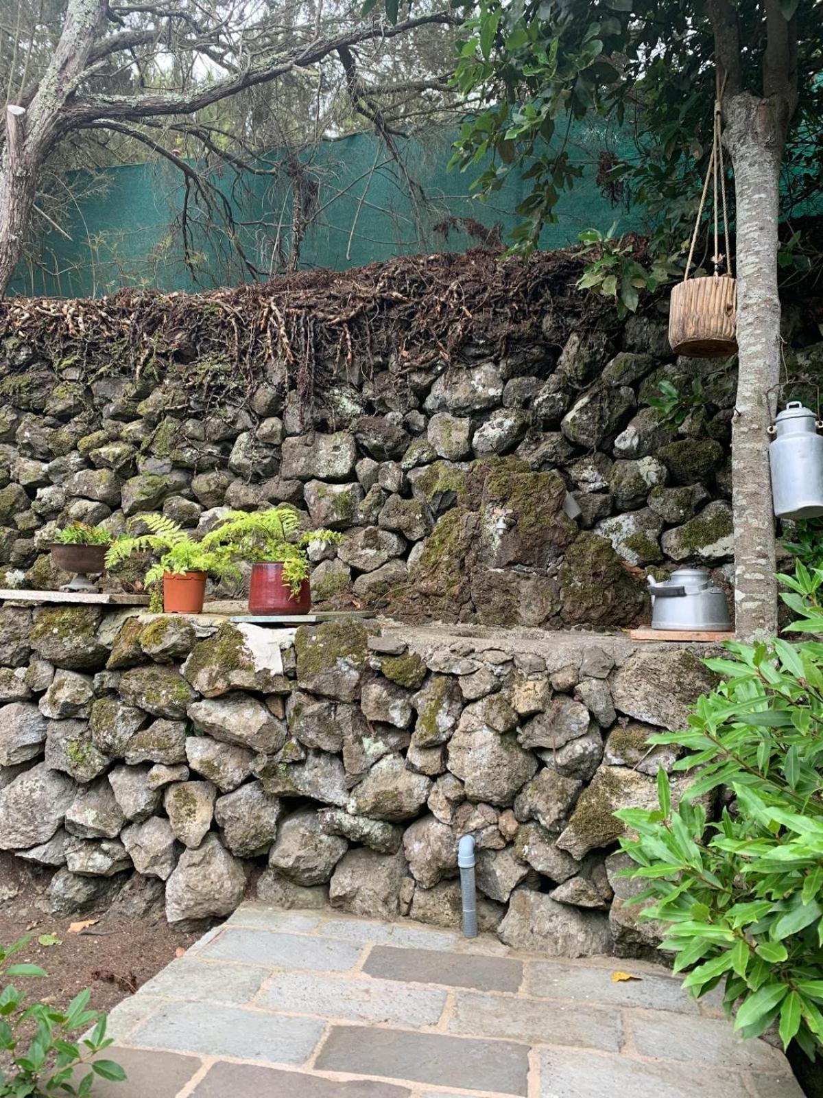 Finca Ecoturista Aurora Verde Garachico