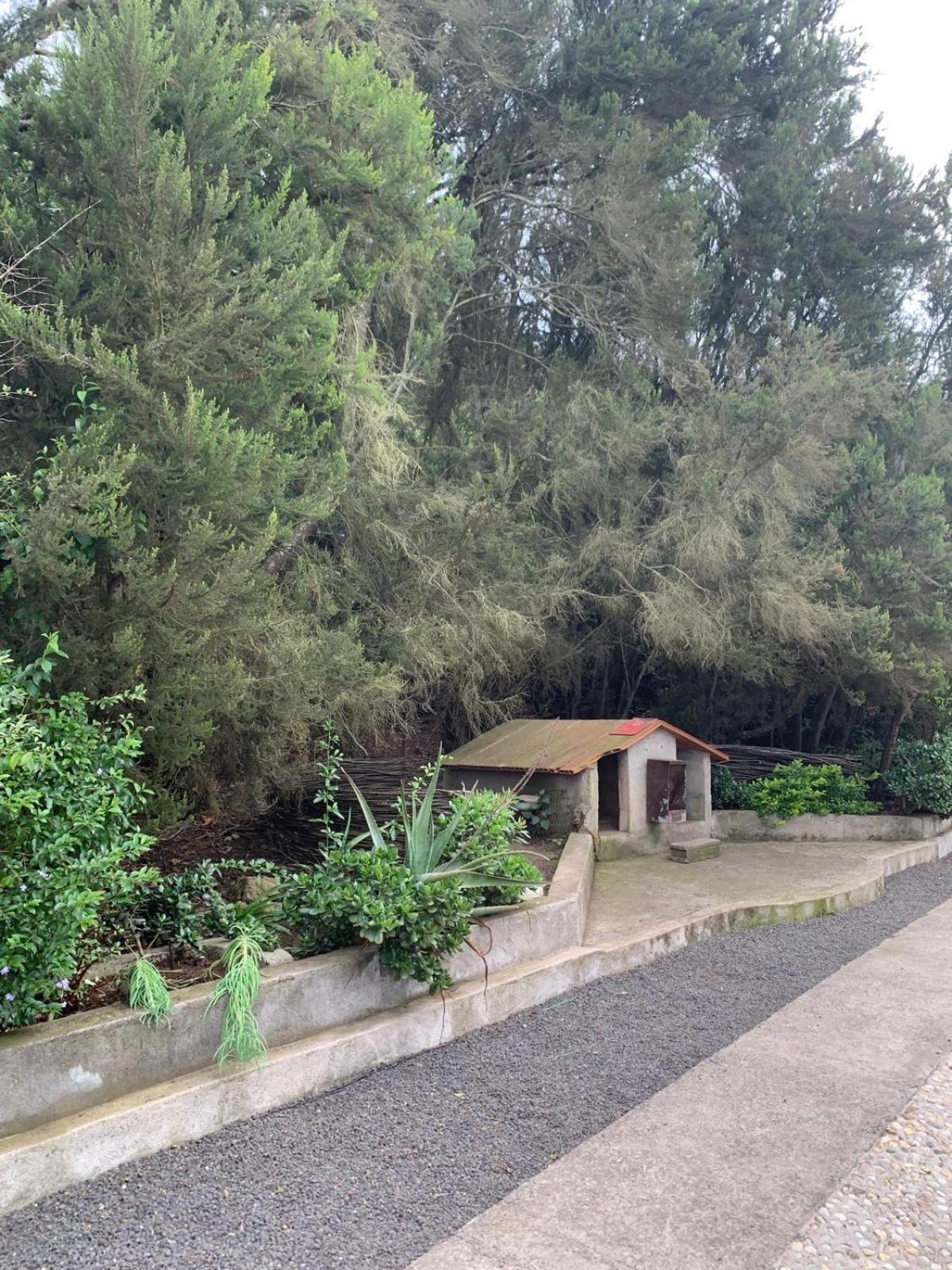 Finca Ecoturista Aurora Verde Garachico