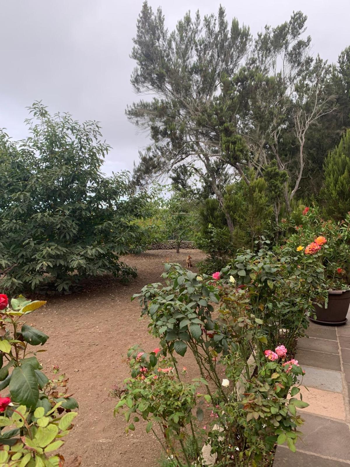 Finca Ecoturista Aurora Verde Garachico