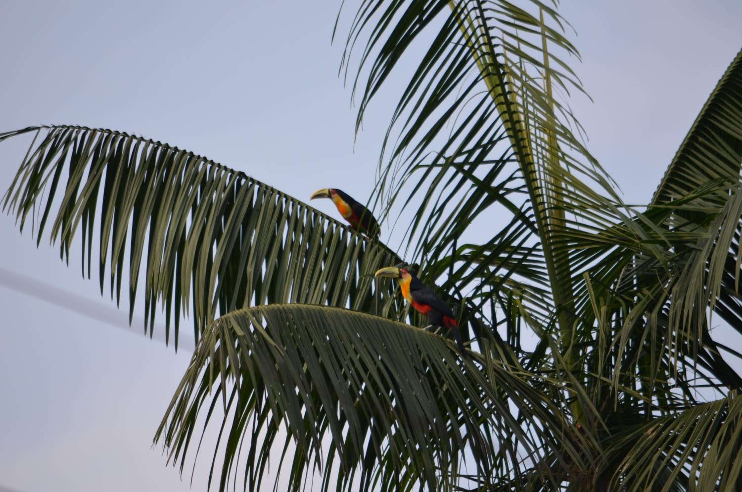 Pousada Alto Pirapitinga