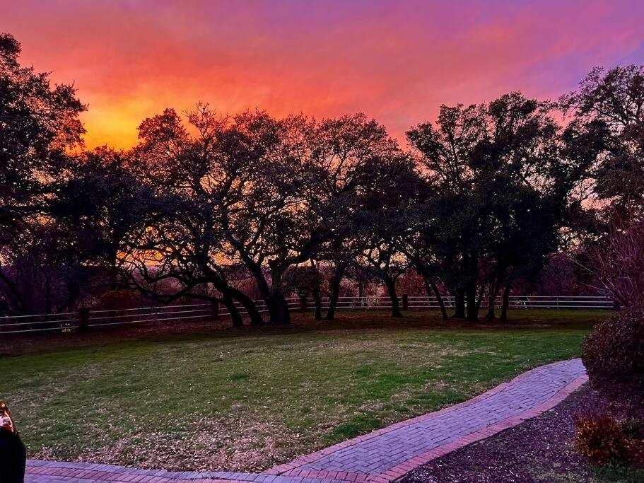 Stunning Country Mansion Estate in SW Fort Worth view 4