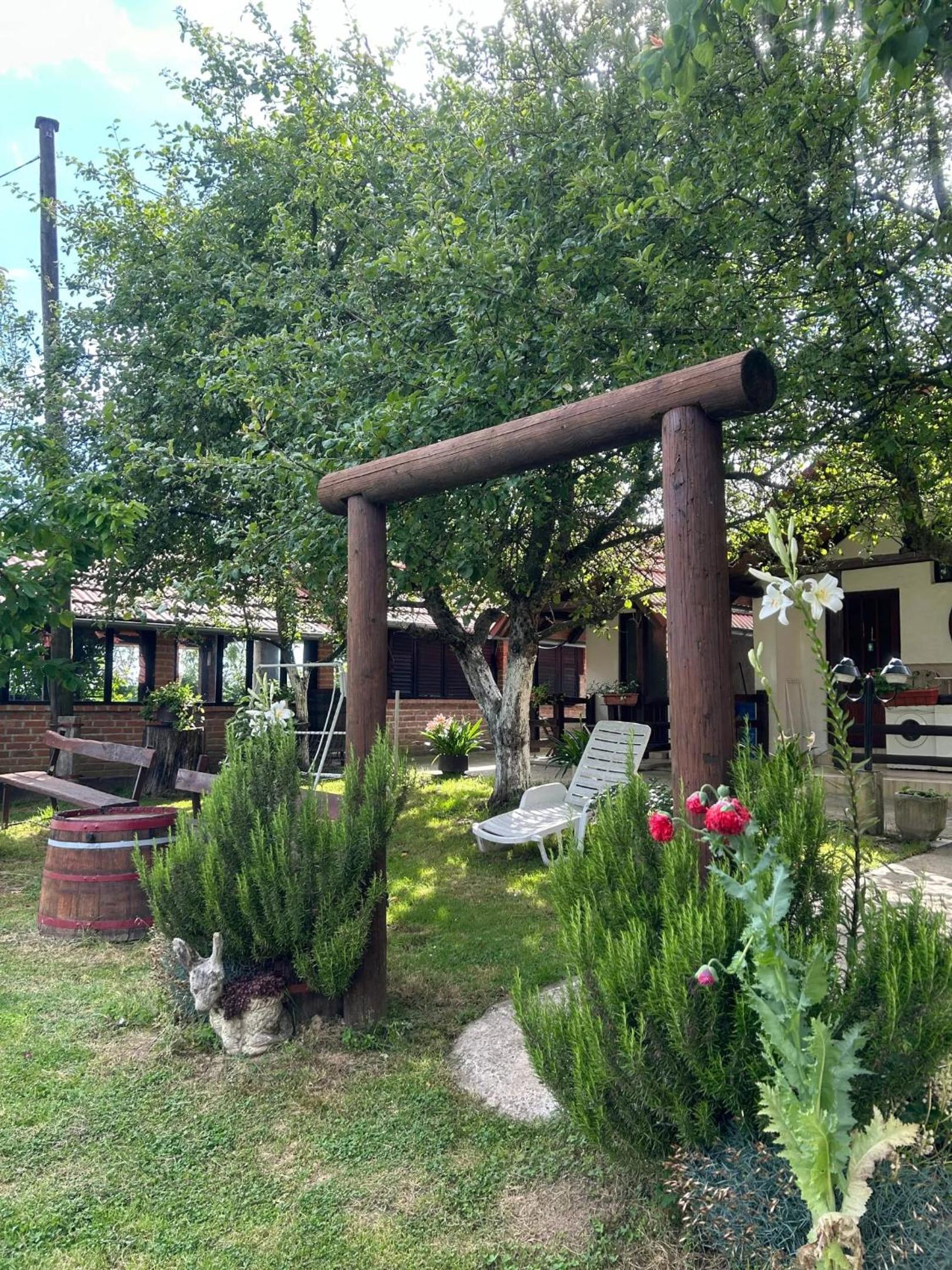 Photo 11