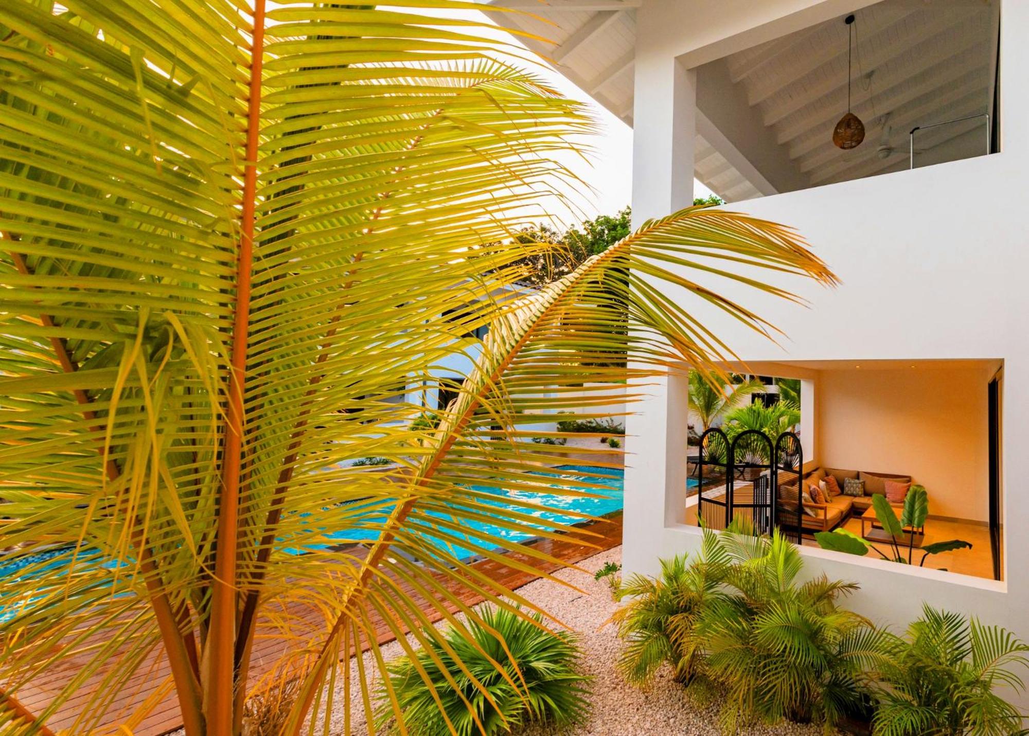 Casa di Chibi Chibi - Brand new apartment with pool close to the beach