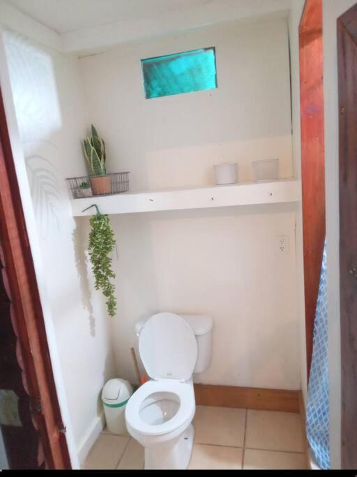Cabaña rústica
