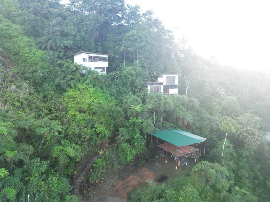 mountain apartment with ocean view II