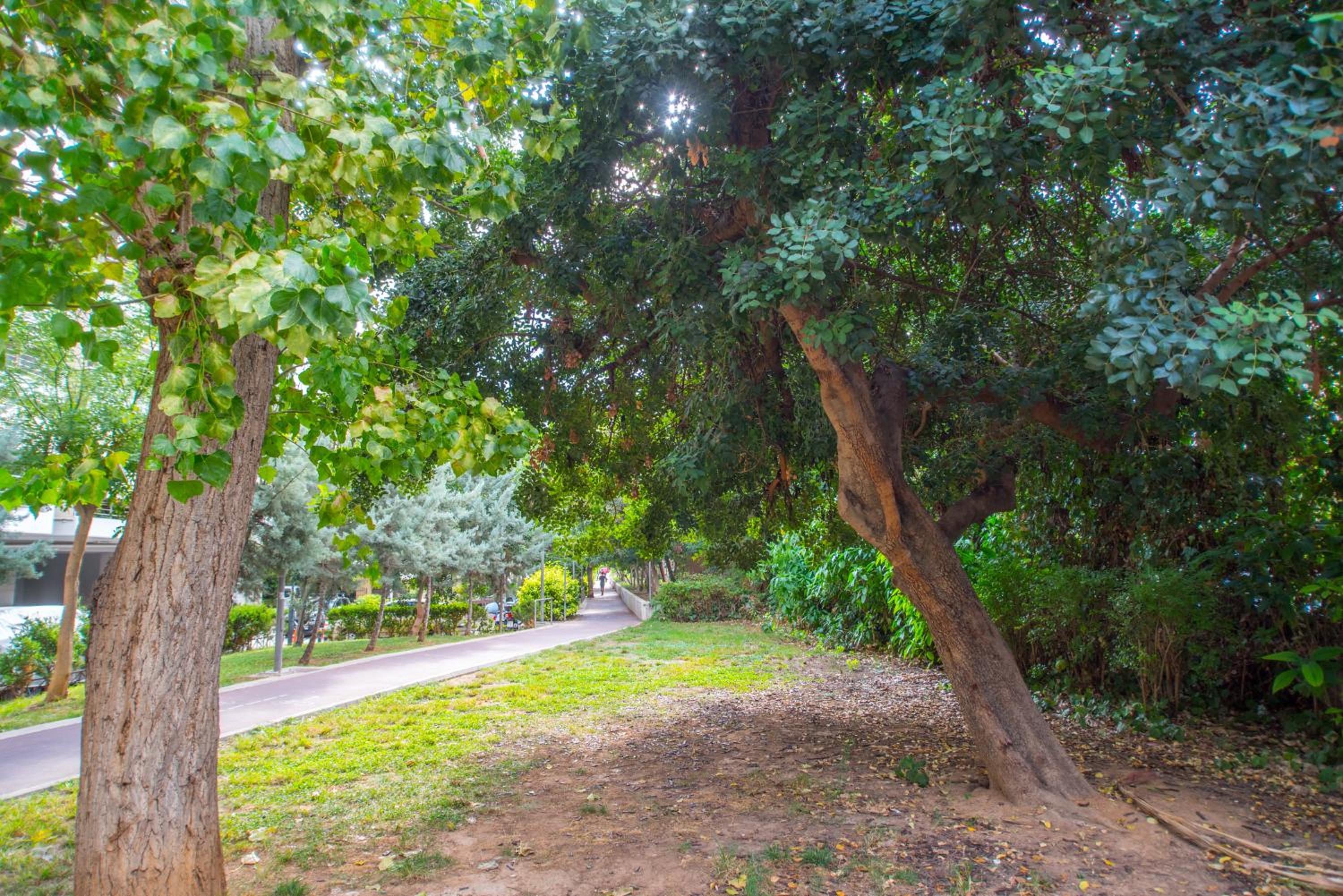 Prime Location, Renovated Flat!