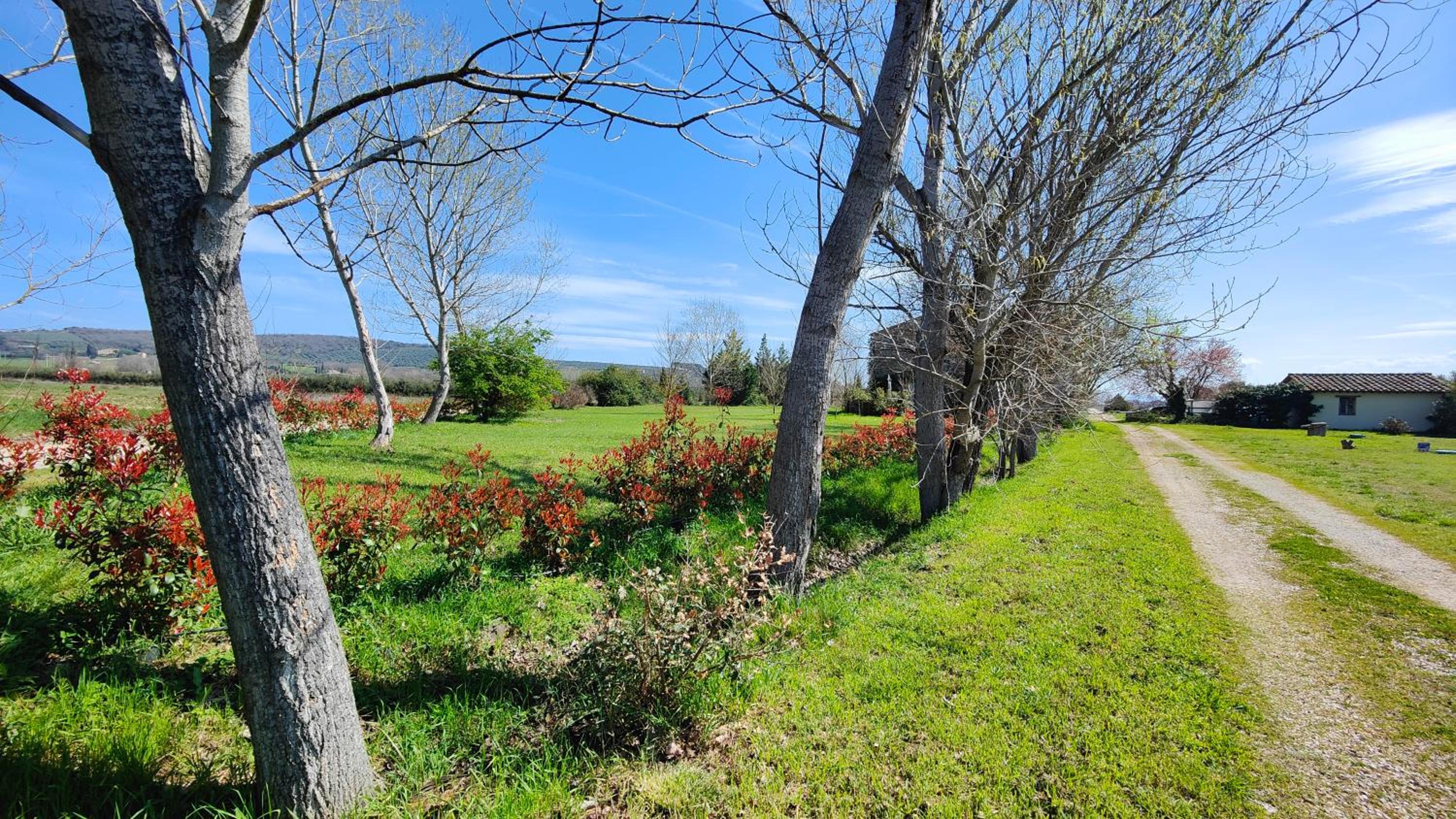 Casale Alcinoo - Rustico